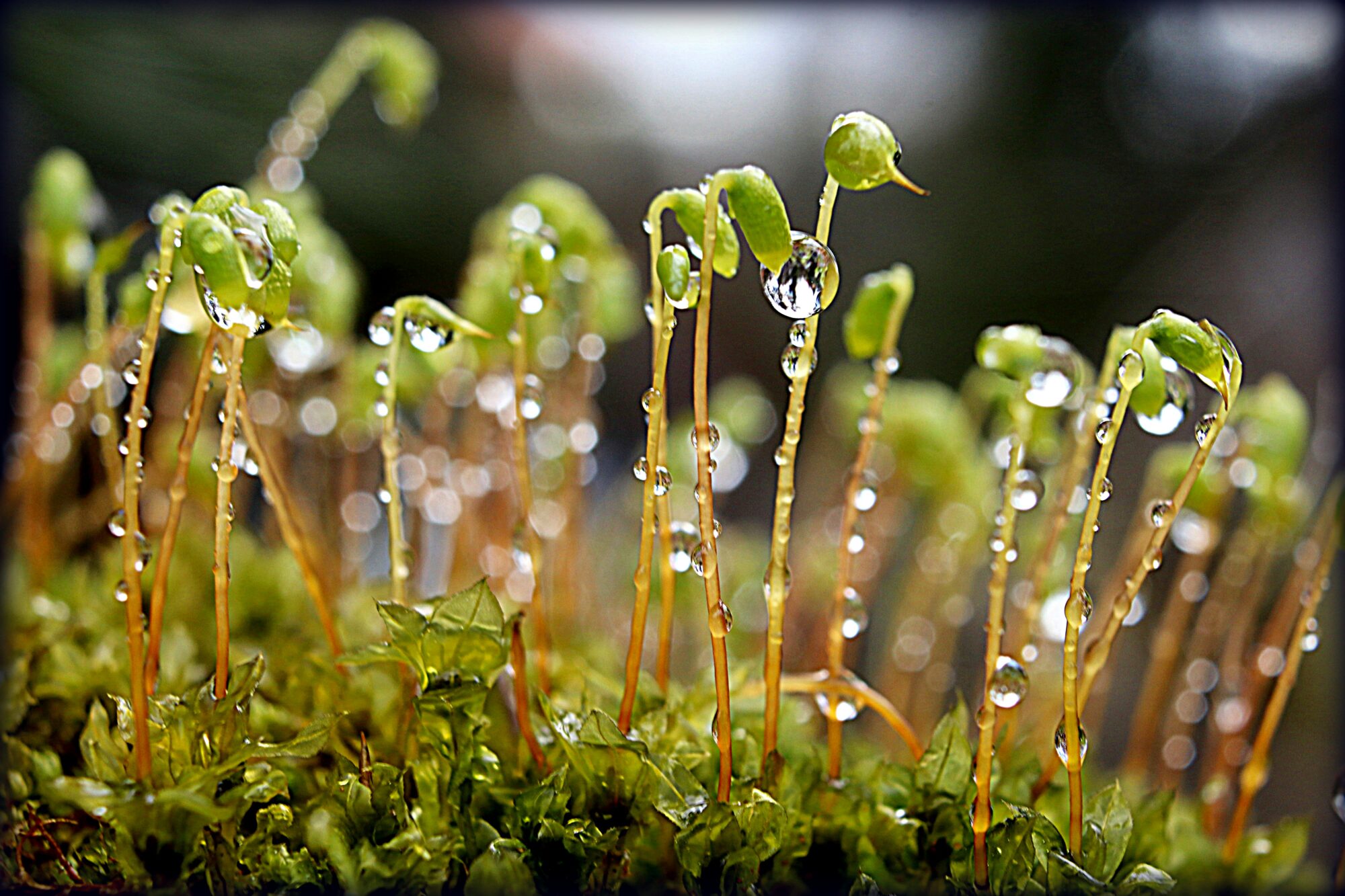 Valokuvaaja: Irja Lehtinen