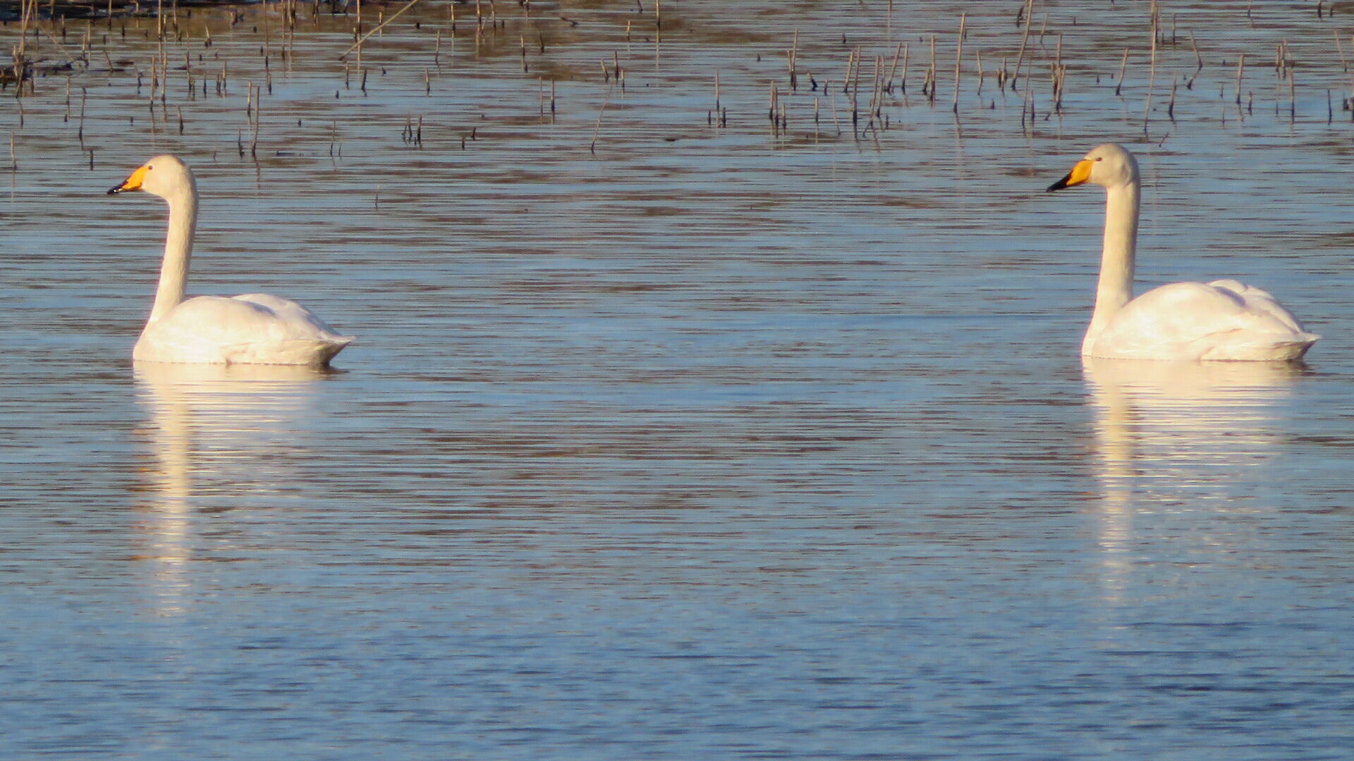 Valokuvaaja: Risto Kangassalo