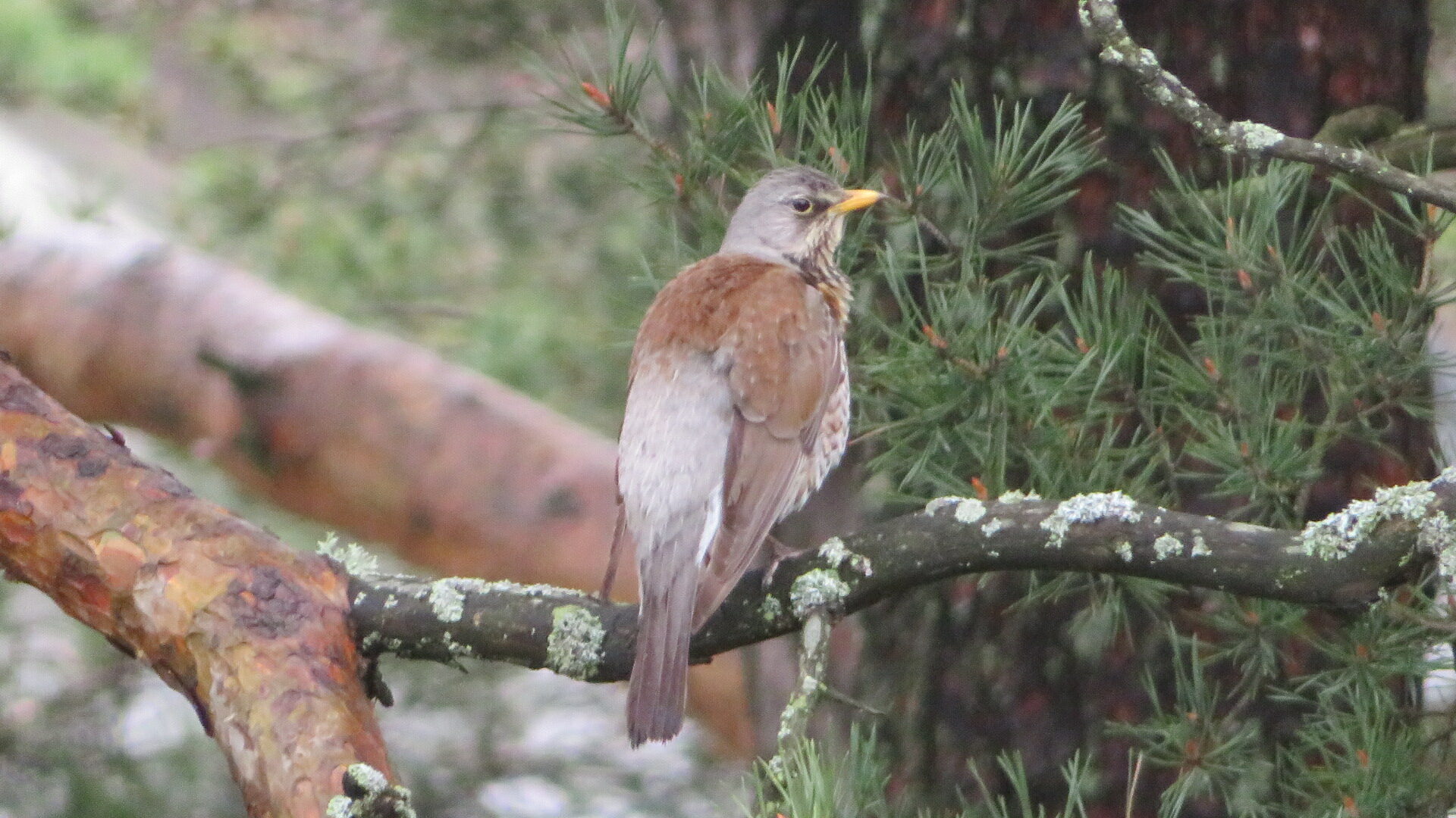Valokuvaaja: Risto Kangassalo