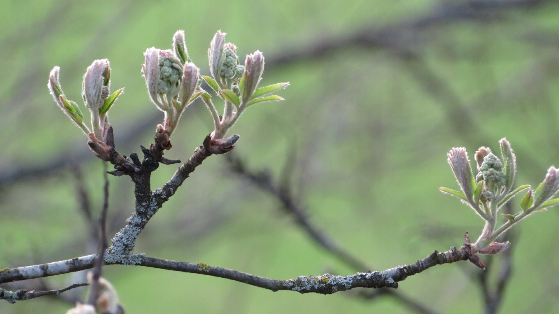 Valokuvaaja: Risto Kangassalo