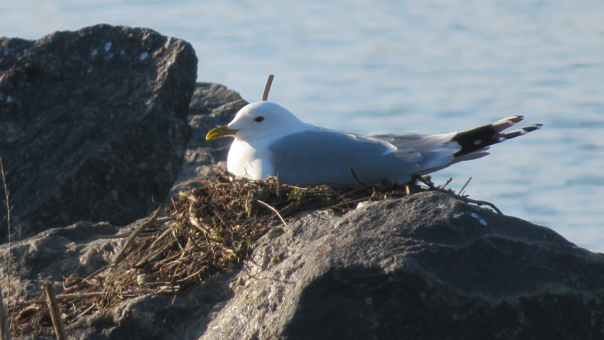 Valokuvaaja: Risto Kangassalo
