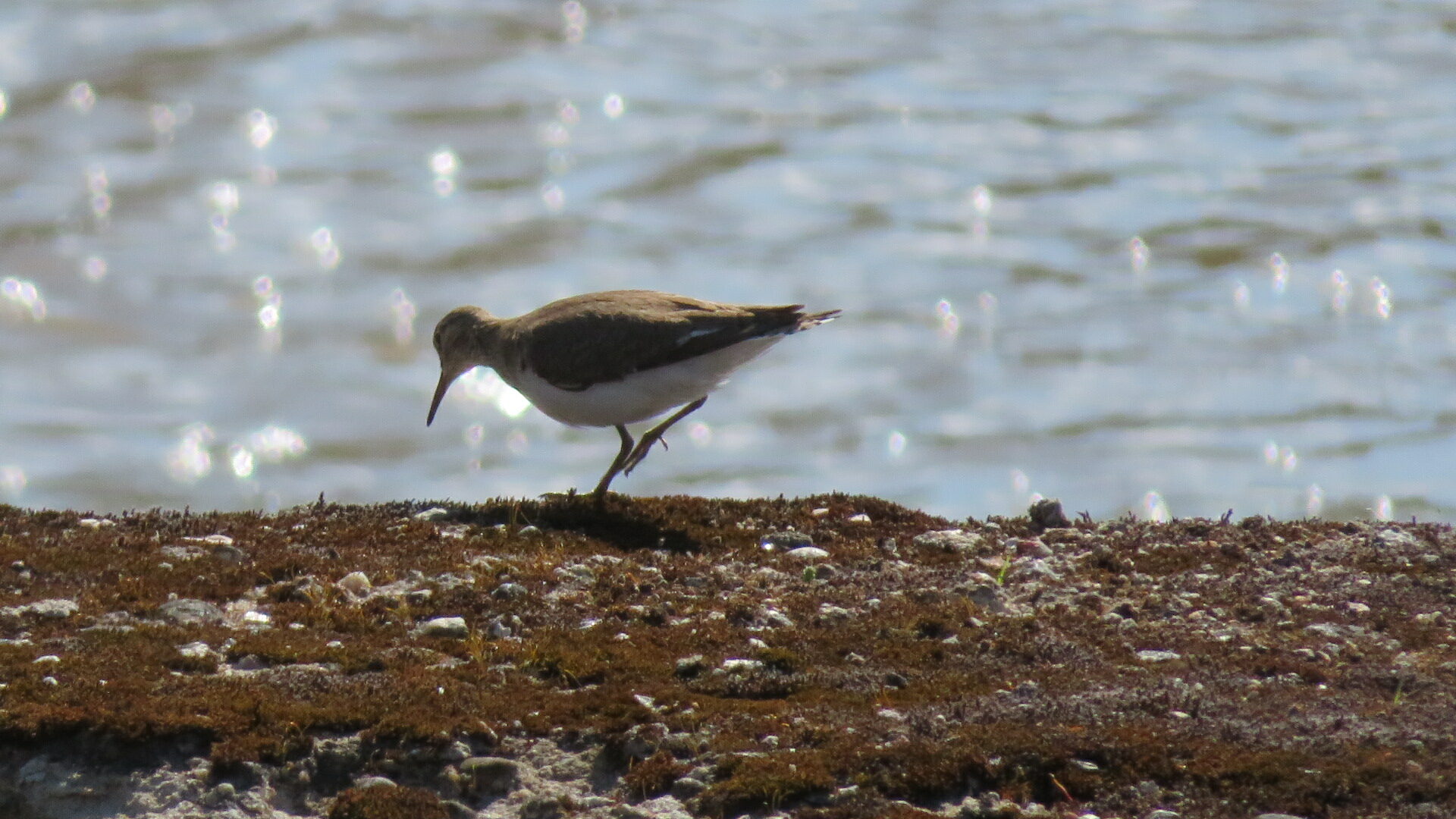 Valokuvaaja: Risto Kangassalo