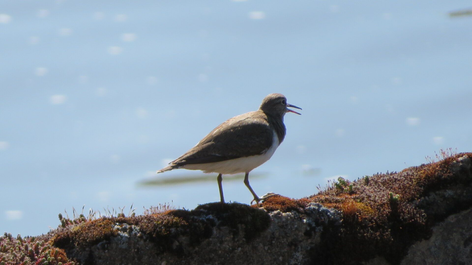 Valokuvaaja: Risto Kangassalo