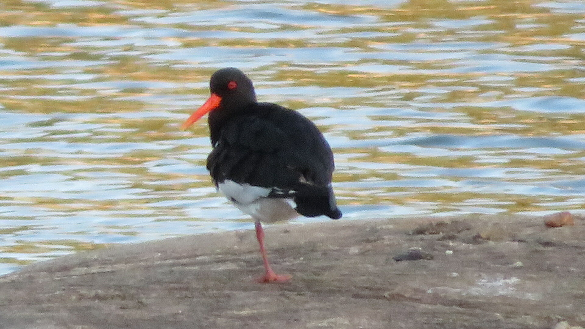 Valokuvaaja: Risto Kangassalo