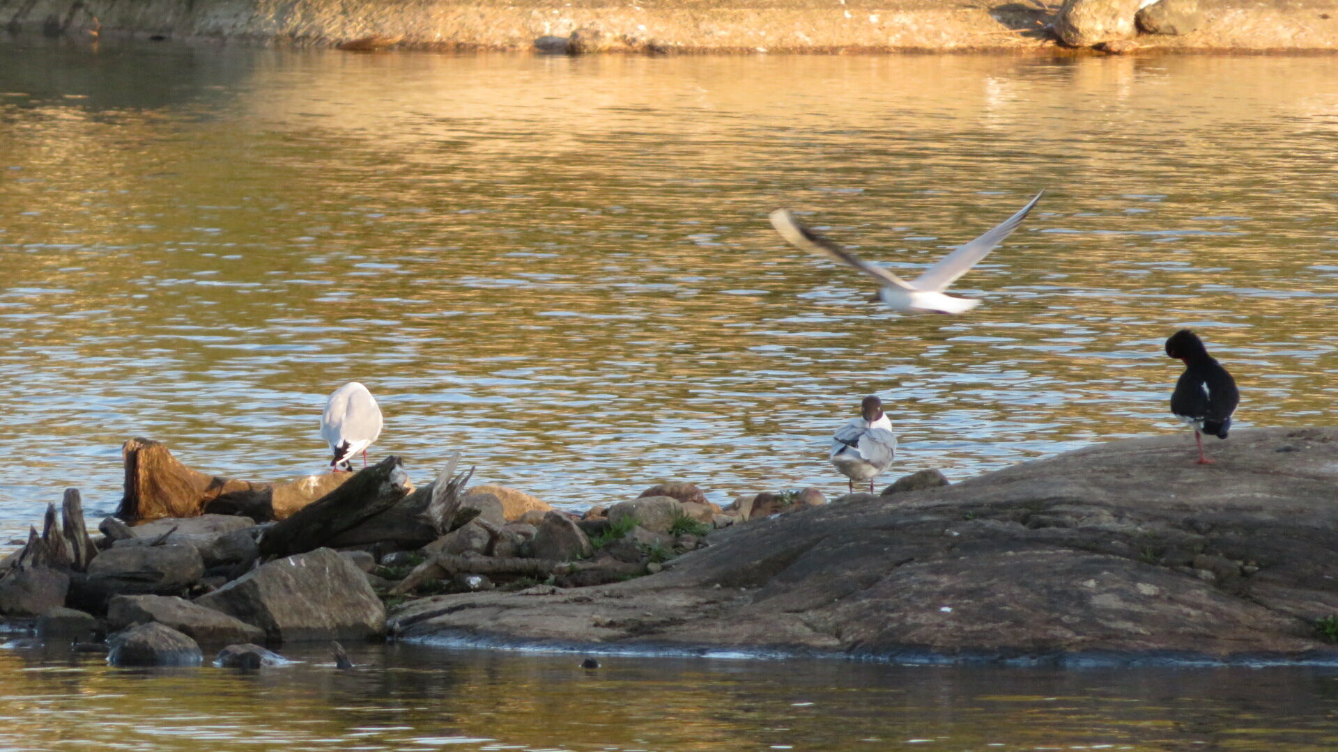 Valokuvaaja: Risto Kangassalo