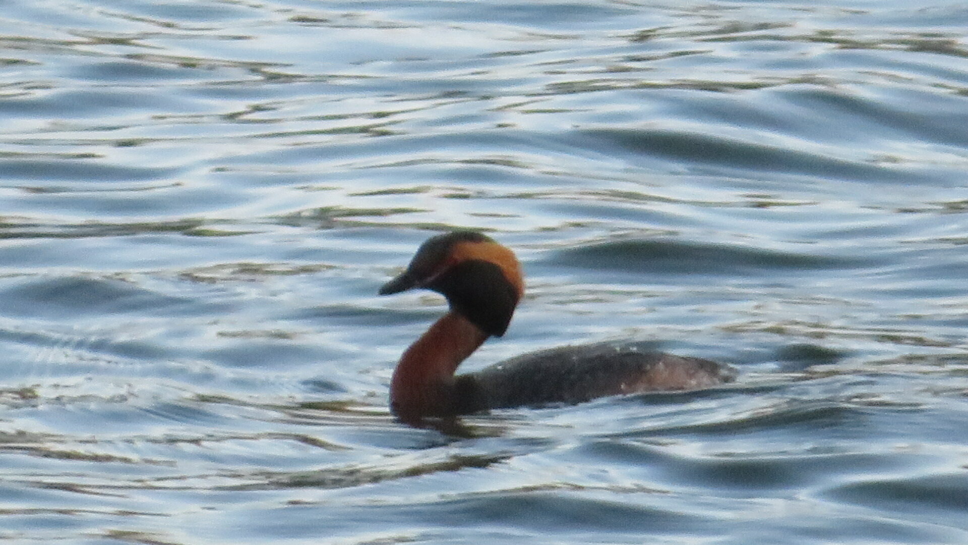 Valokuvaaja: Risto Kangassalo