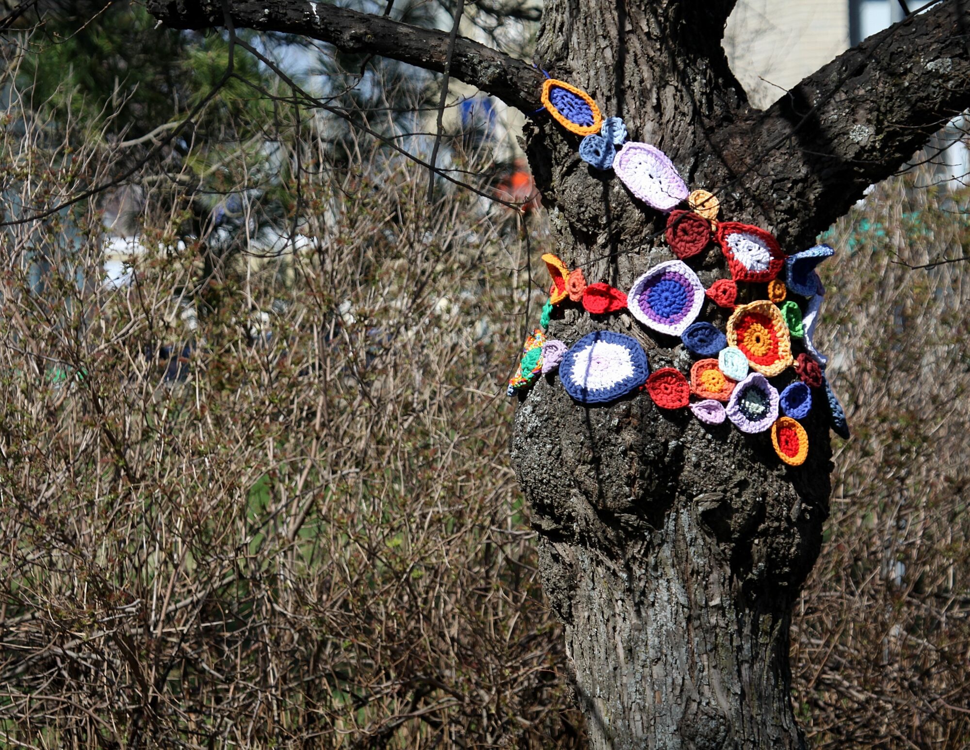 Valokuvaaja: Pirkko Siukonen