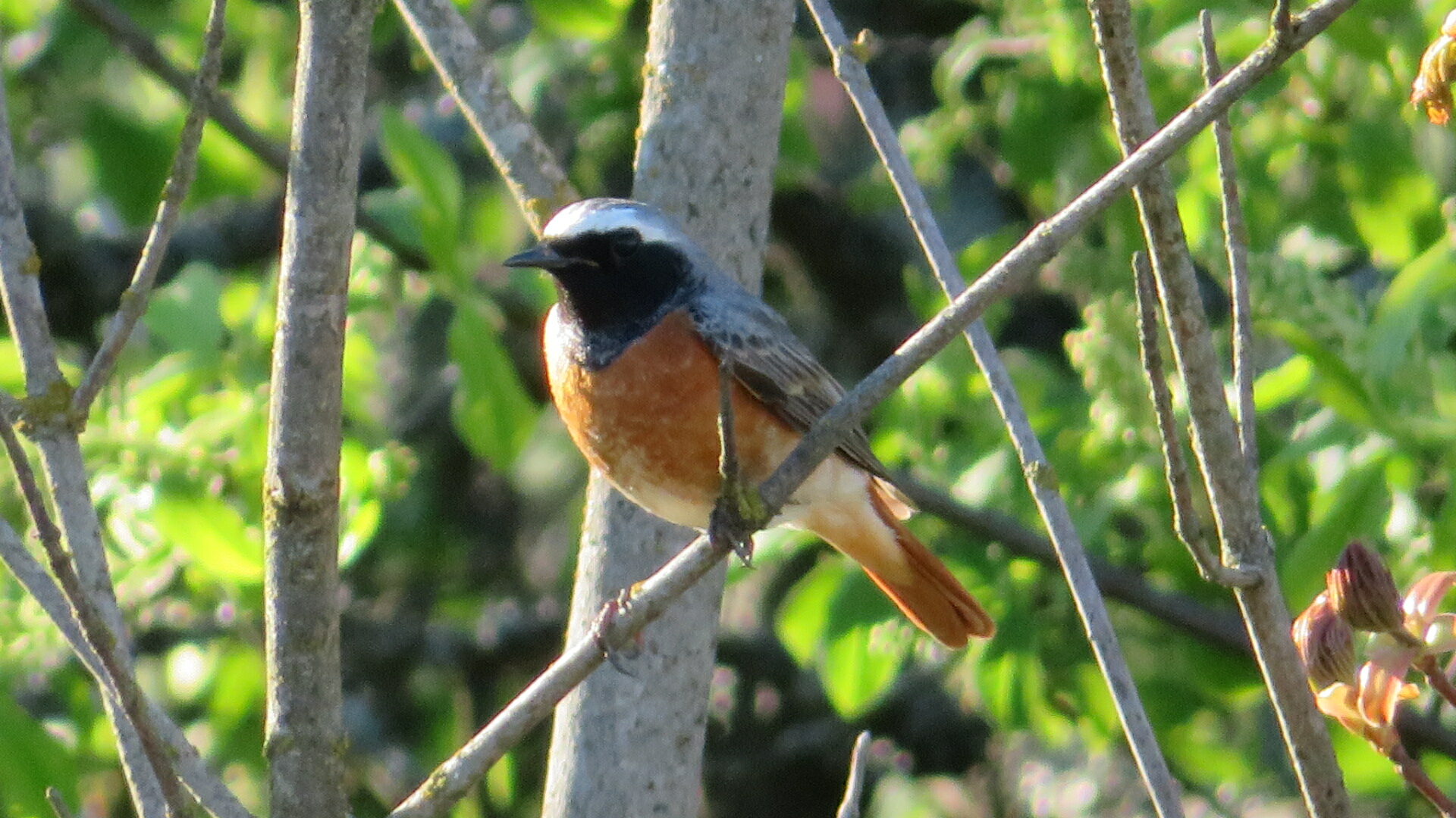 Valokuvaaja: Risto Kangassalo
