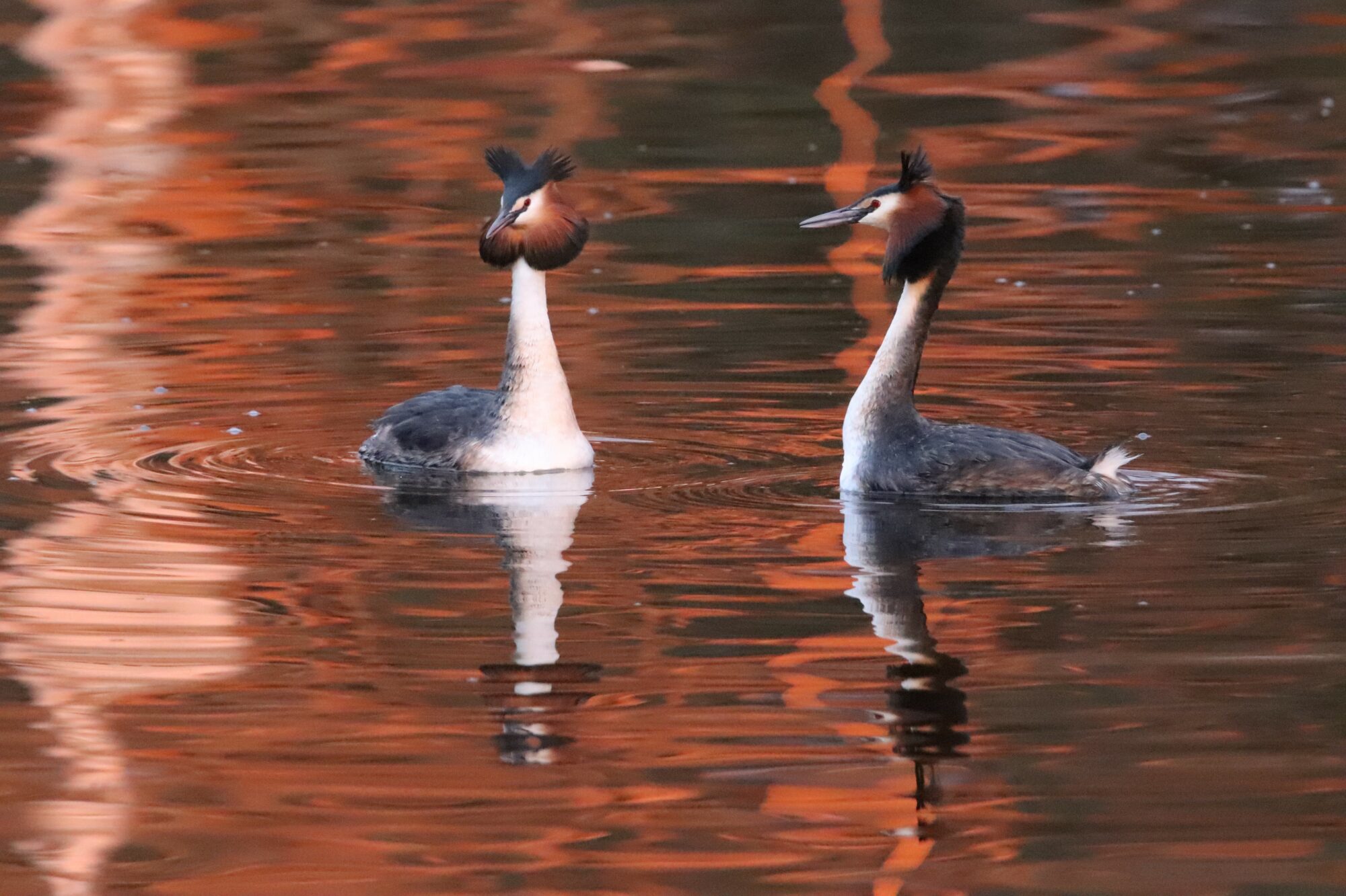 Valokuvaaja: Irja Lehtinen
