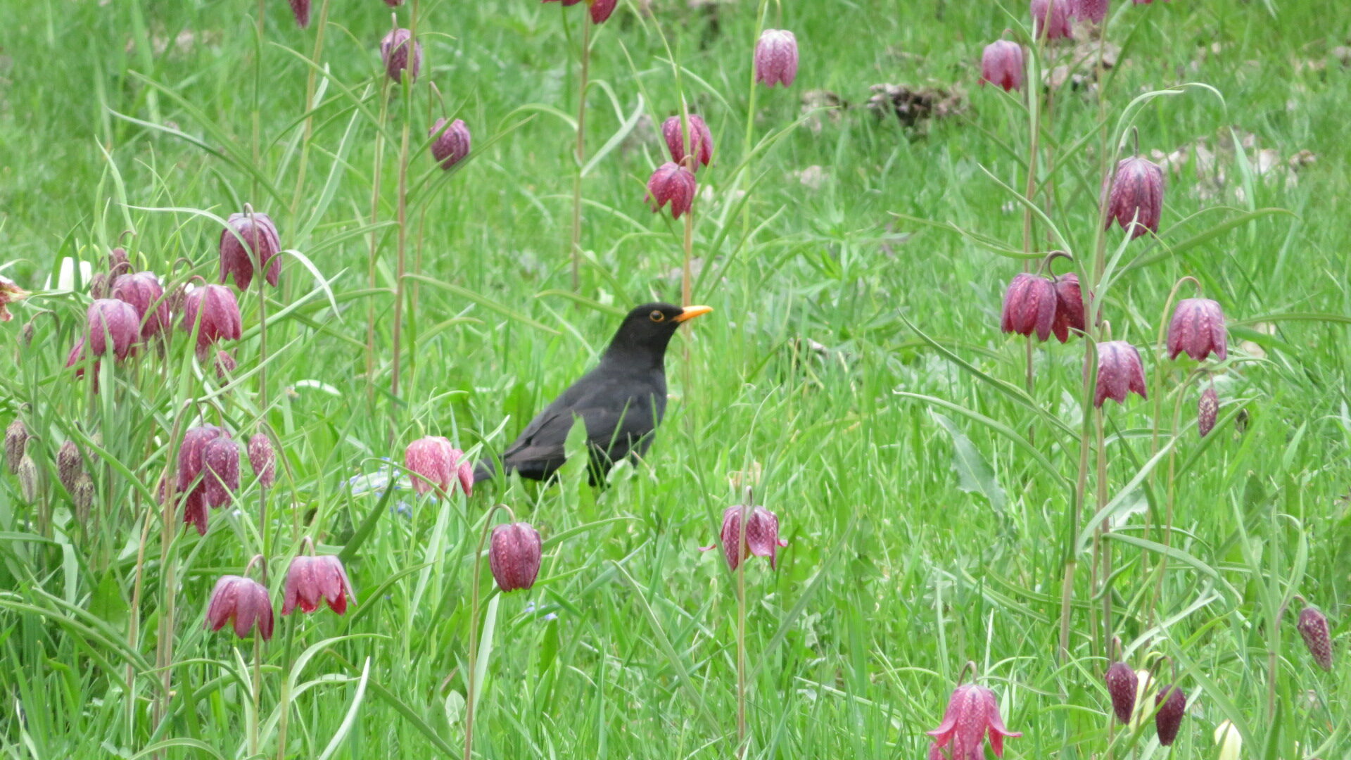 Valokuvaaja: Risto Kangassalo