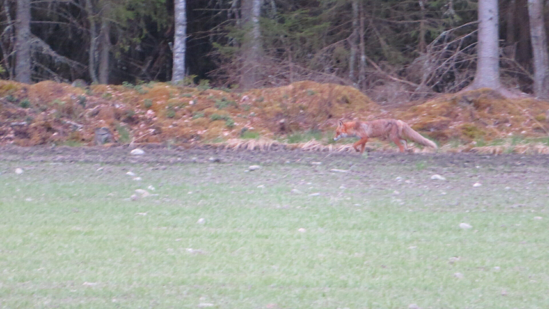 Valokuvaaja: Risto Kangassalo