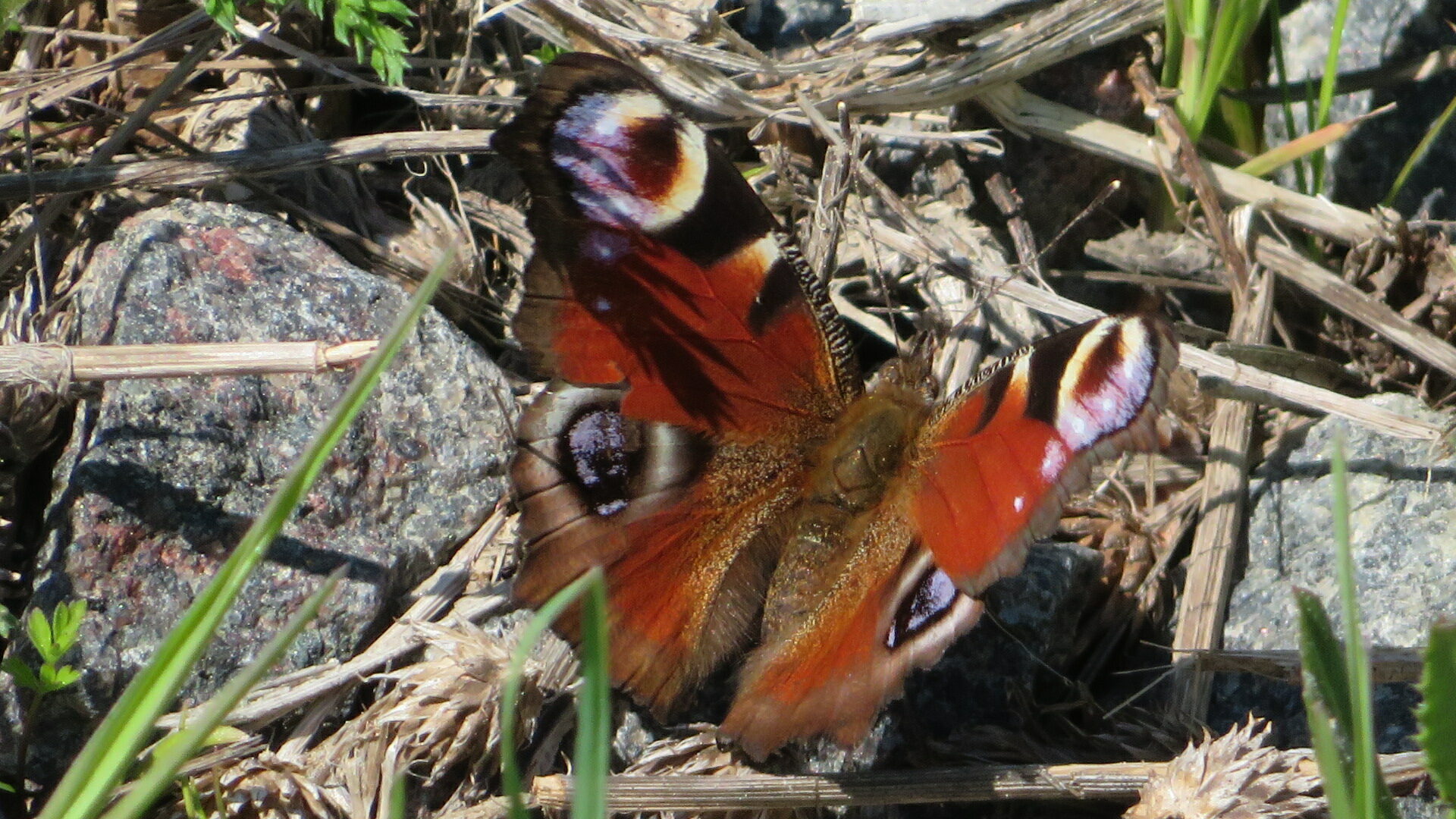 Valokuvaaja: Risto Kangassalo