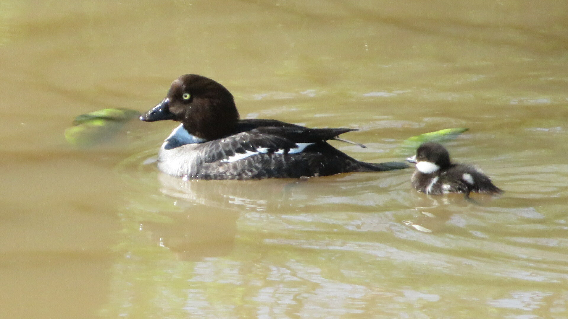 Valokuvaaja: Risto Kangassalo