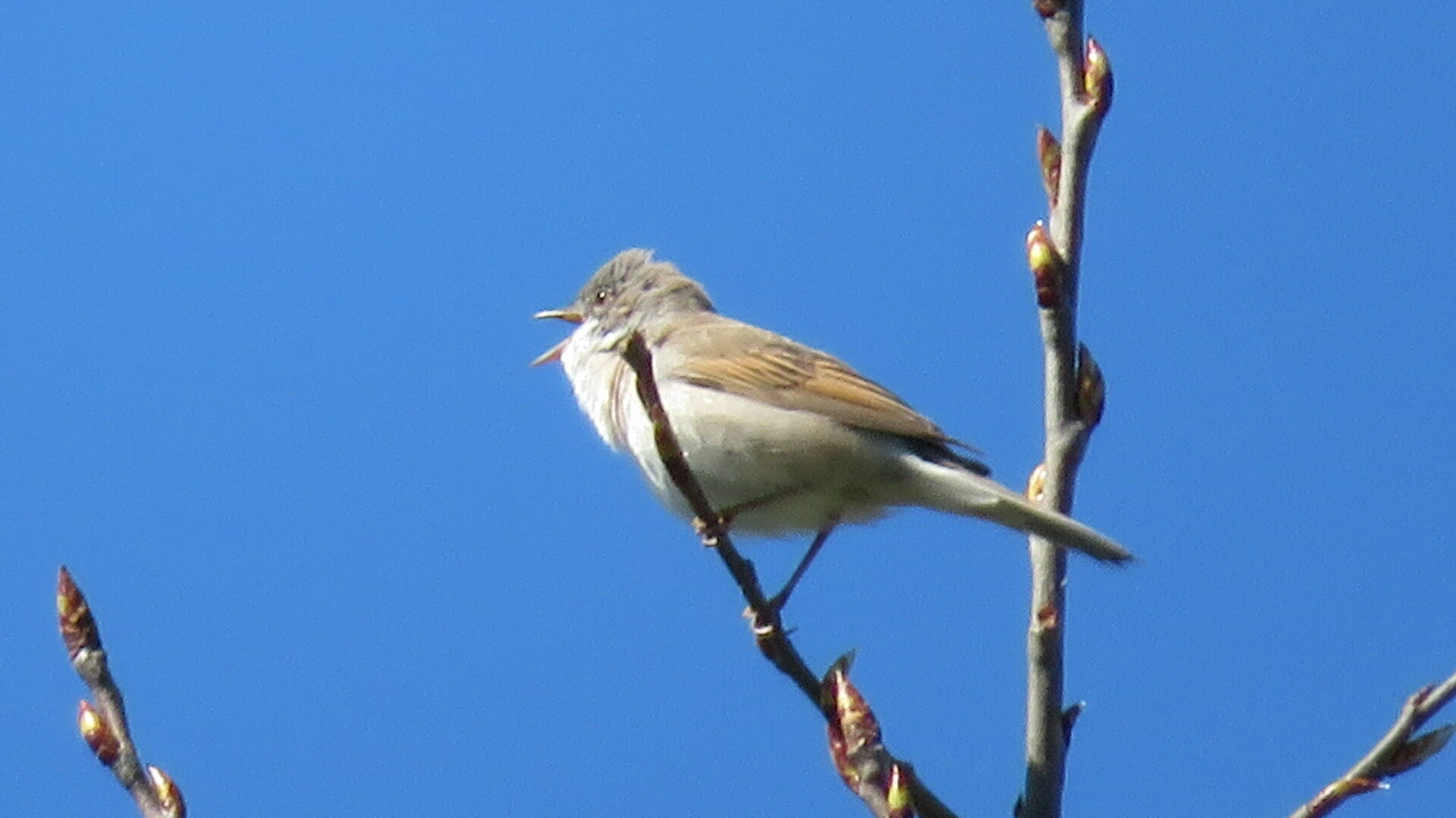 Valokuvaaja: Risto Kangassalo