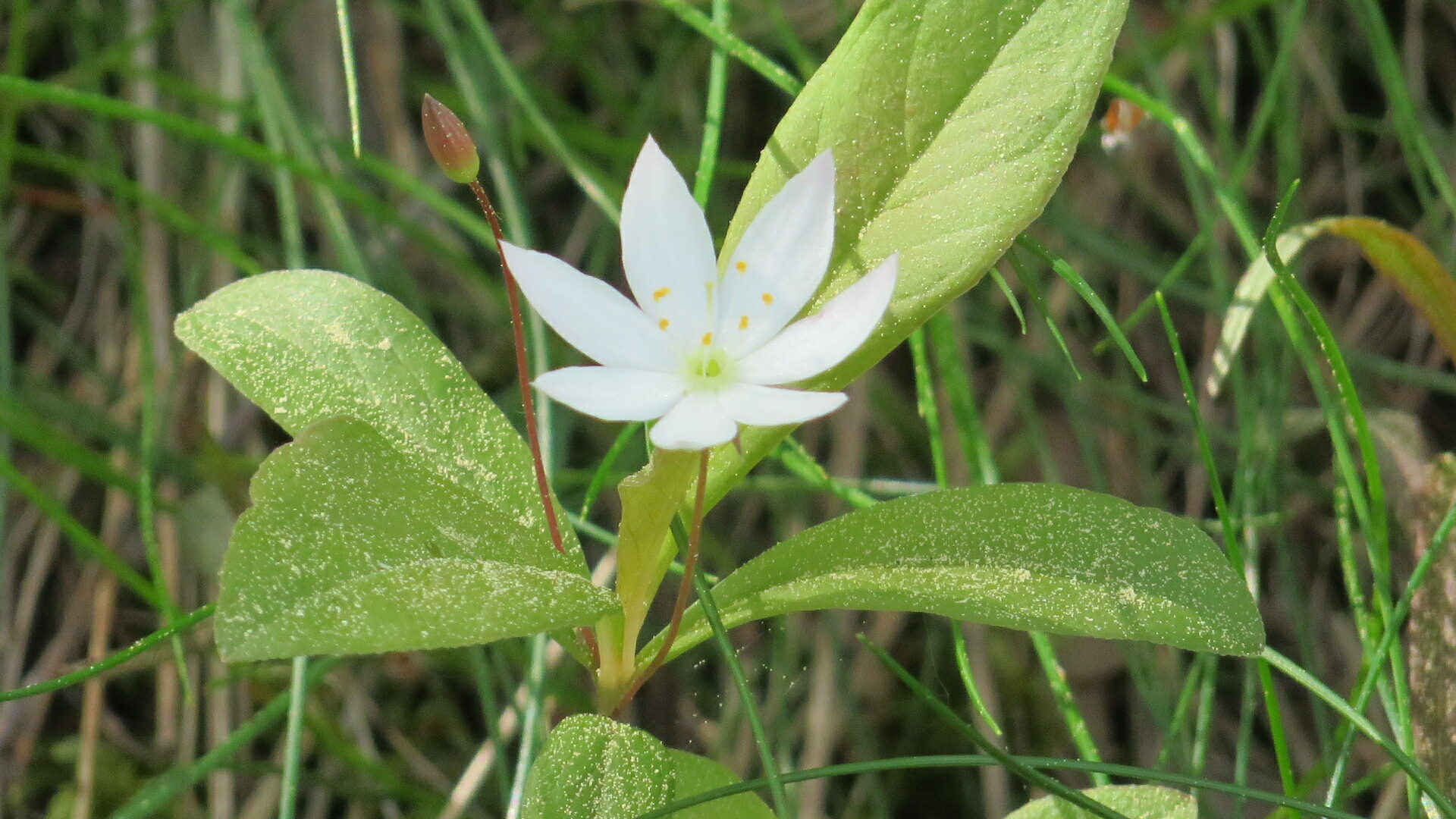Valokuvaaja: Risto Kangassalo