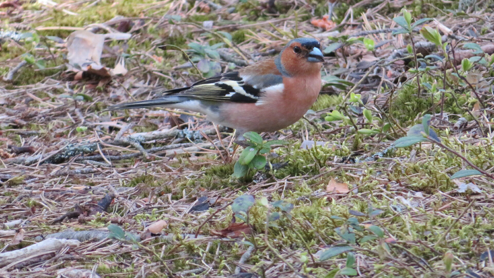 Valokuvaaja: Risto Kangassalo