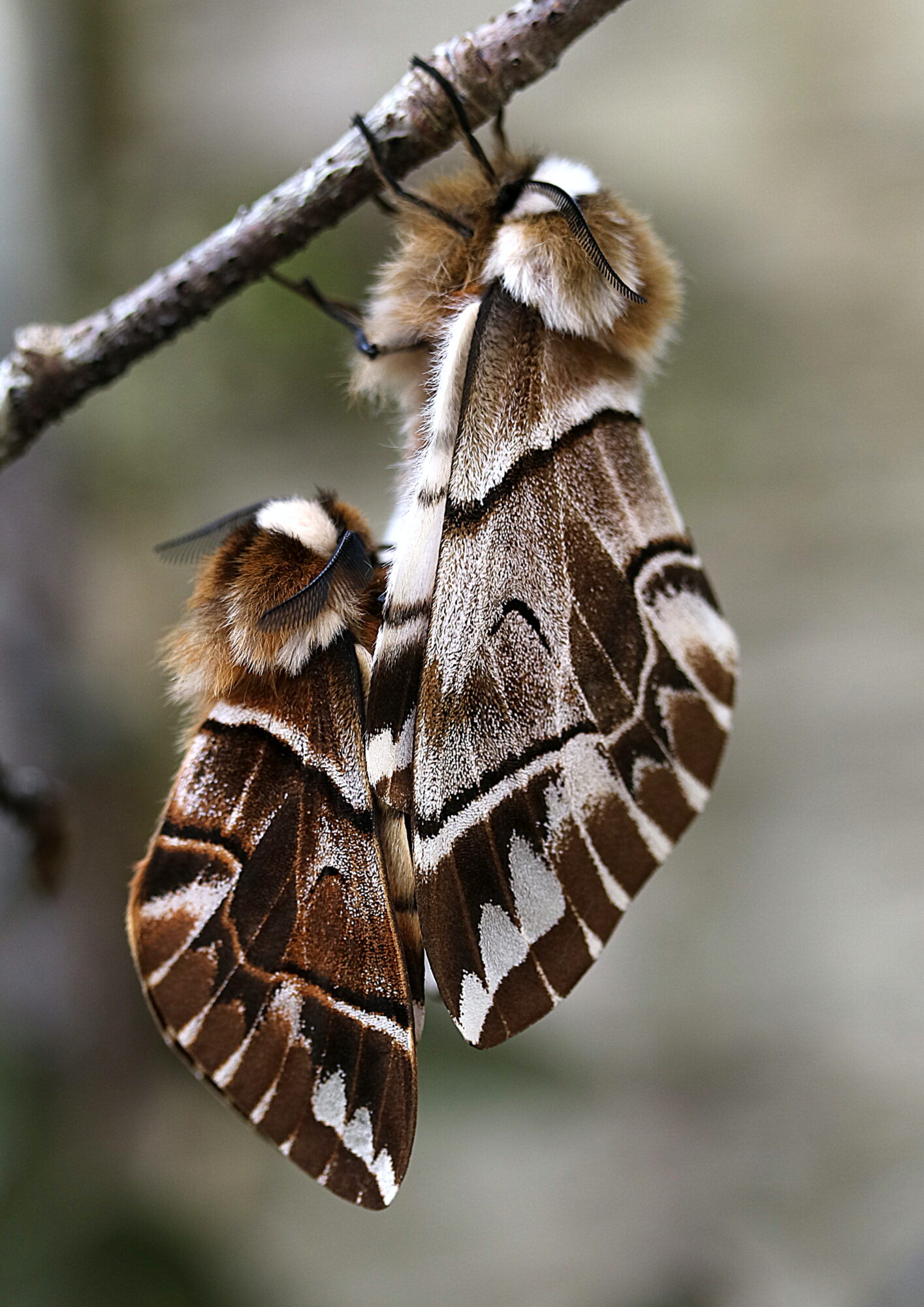 Valokuvaaja: Hannu Rasiranta Valokuvaaja: Hannu Rasiranta