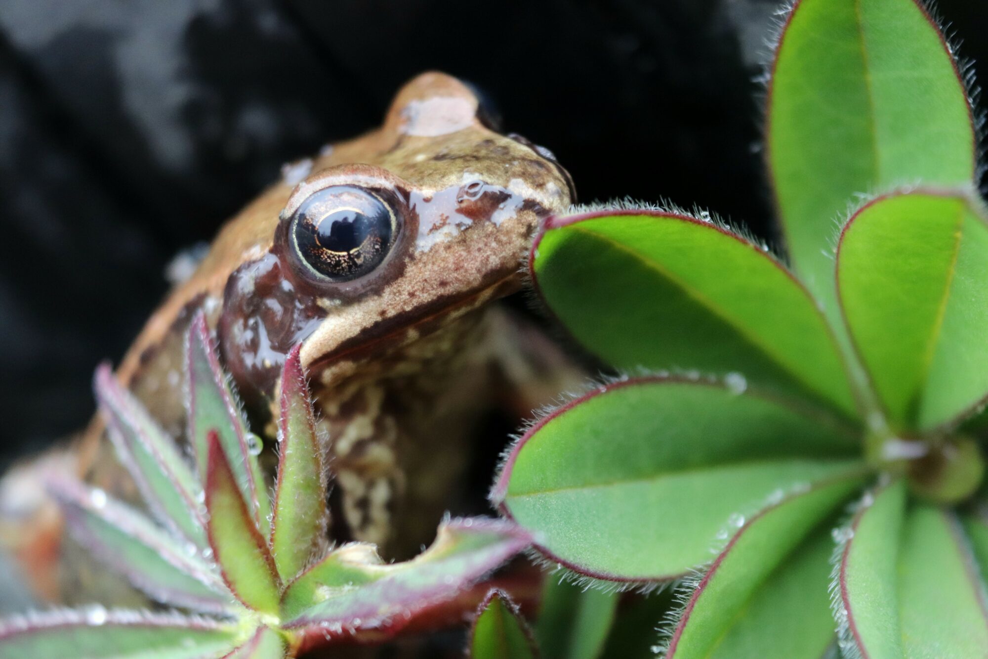 Valokuvaaja: Irja Lehtinen