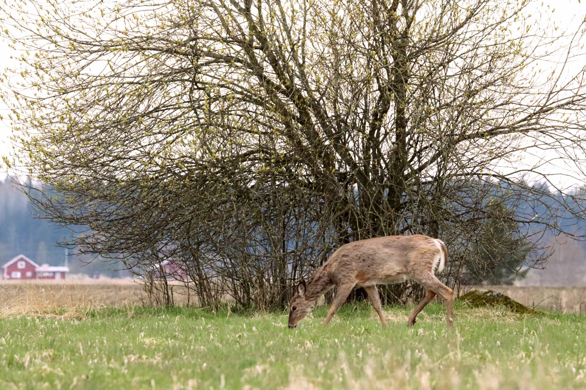 Valokuvaaja: Irja Lehtinen