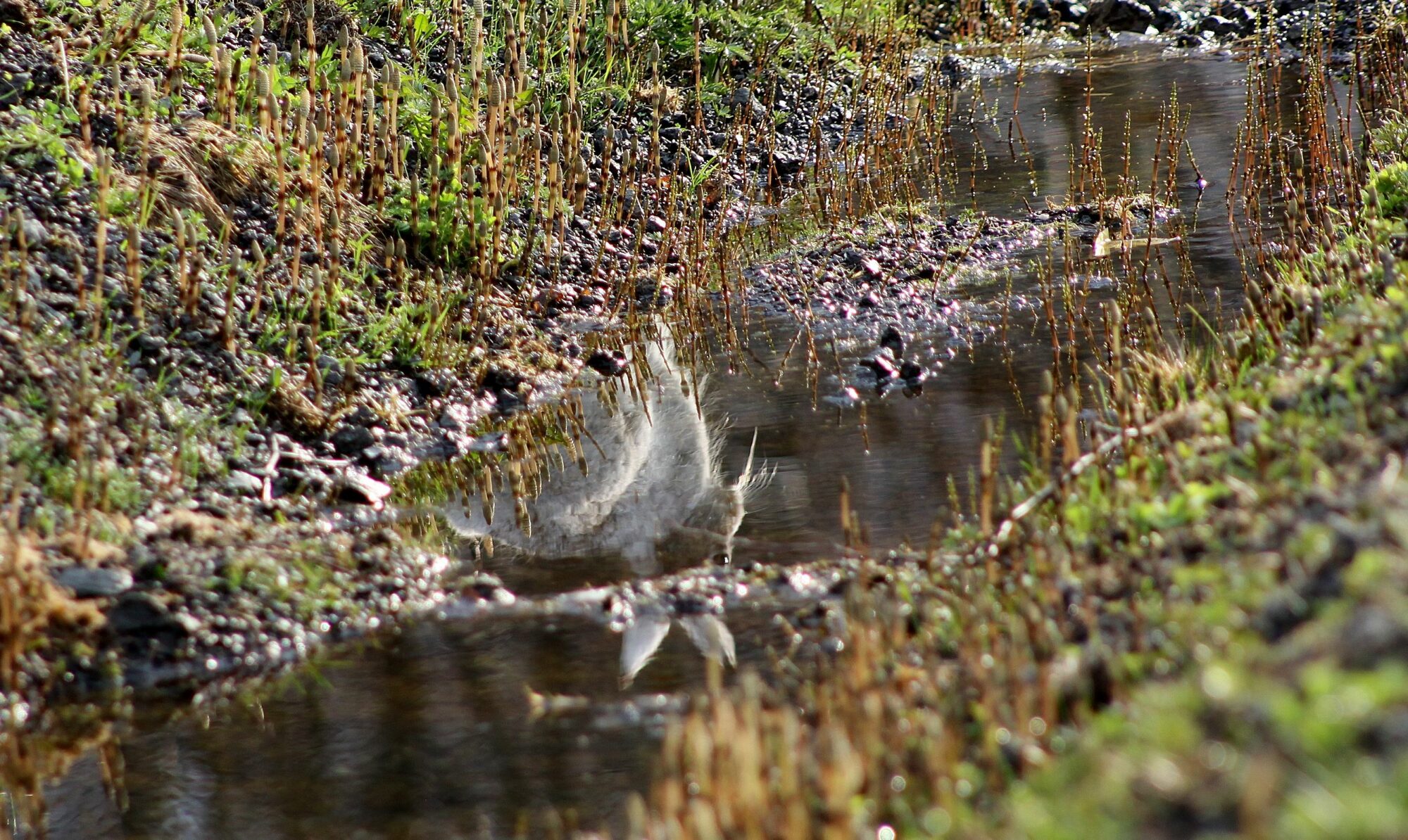 Valokuvaaja: Pirkko Siukonen