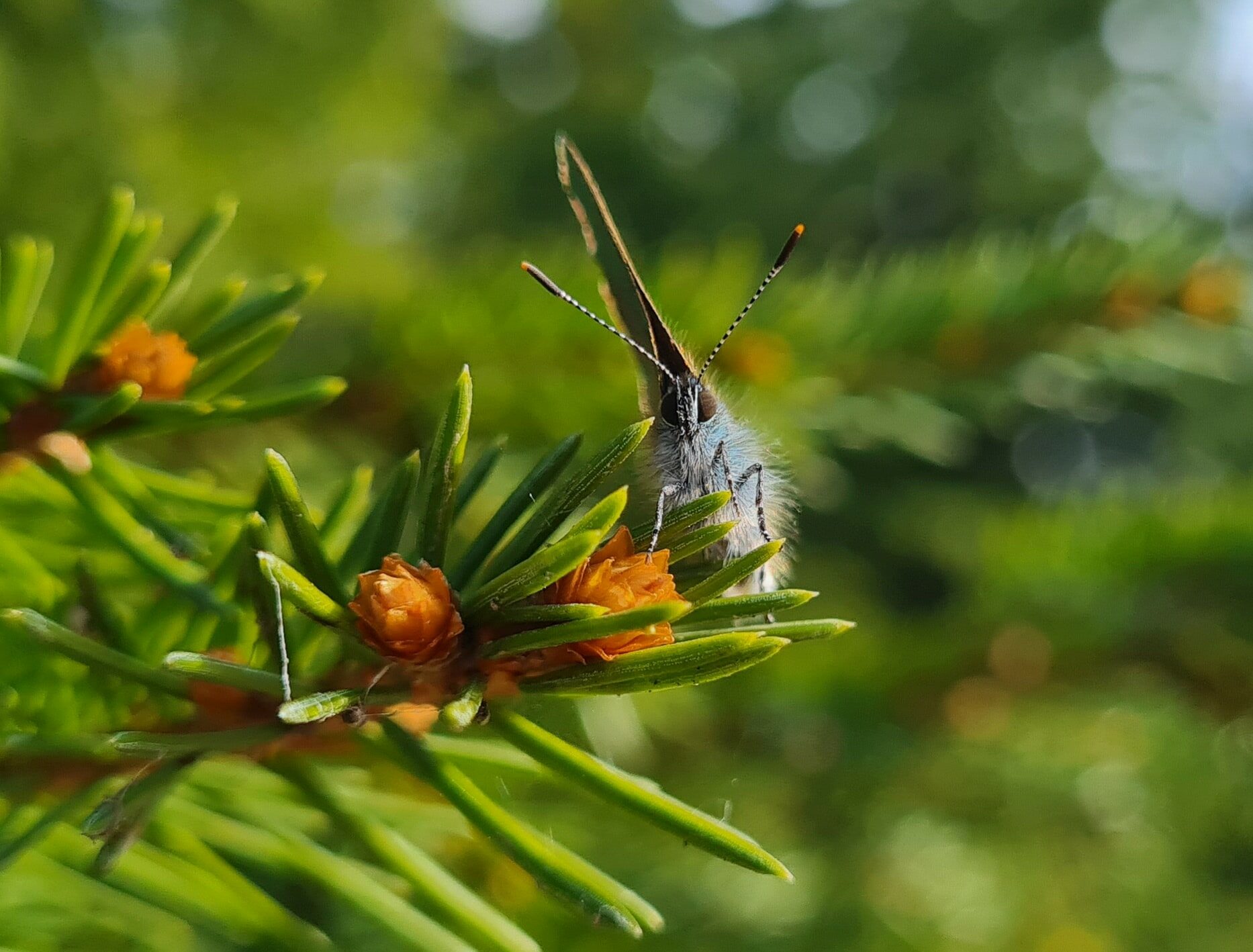 Valokuvaaja: Mari Ahtola