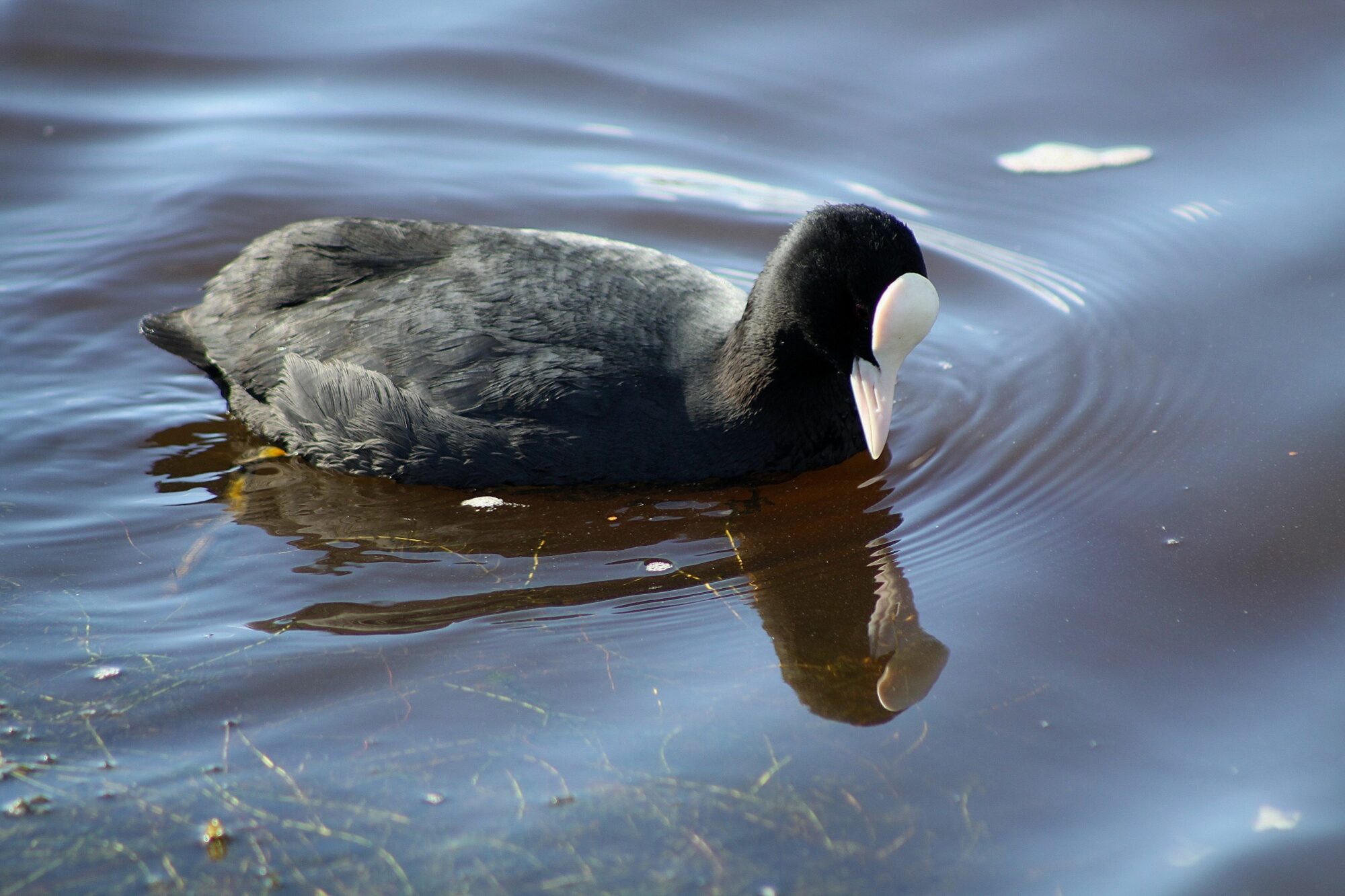 Valokuvaaja: Pirkko Siukonen