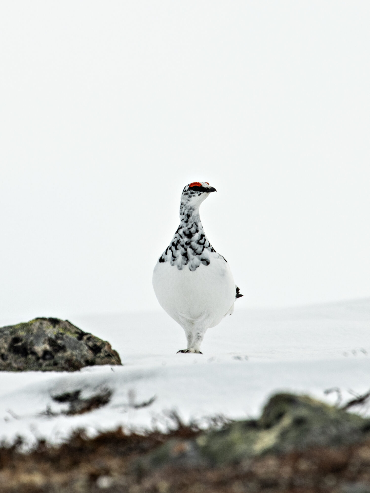 Valokuvaaja: Katri Niskanen