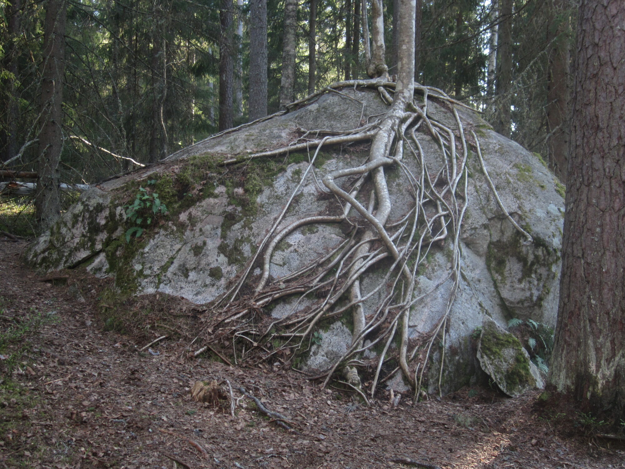 Valokuvaaja: Marita Portin