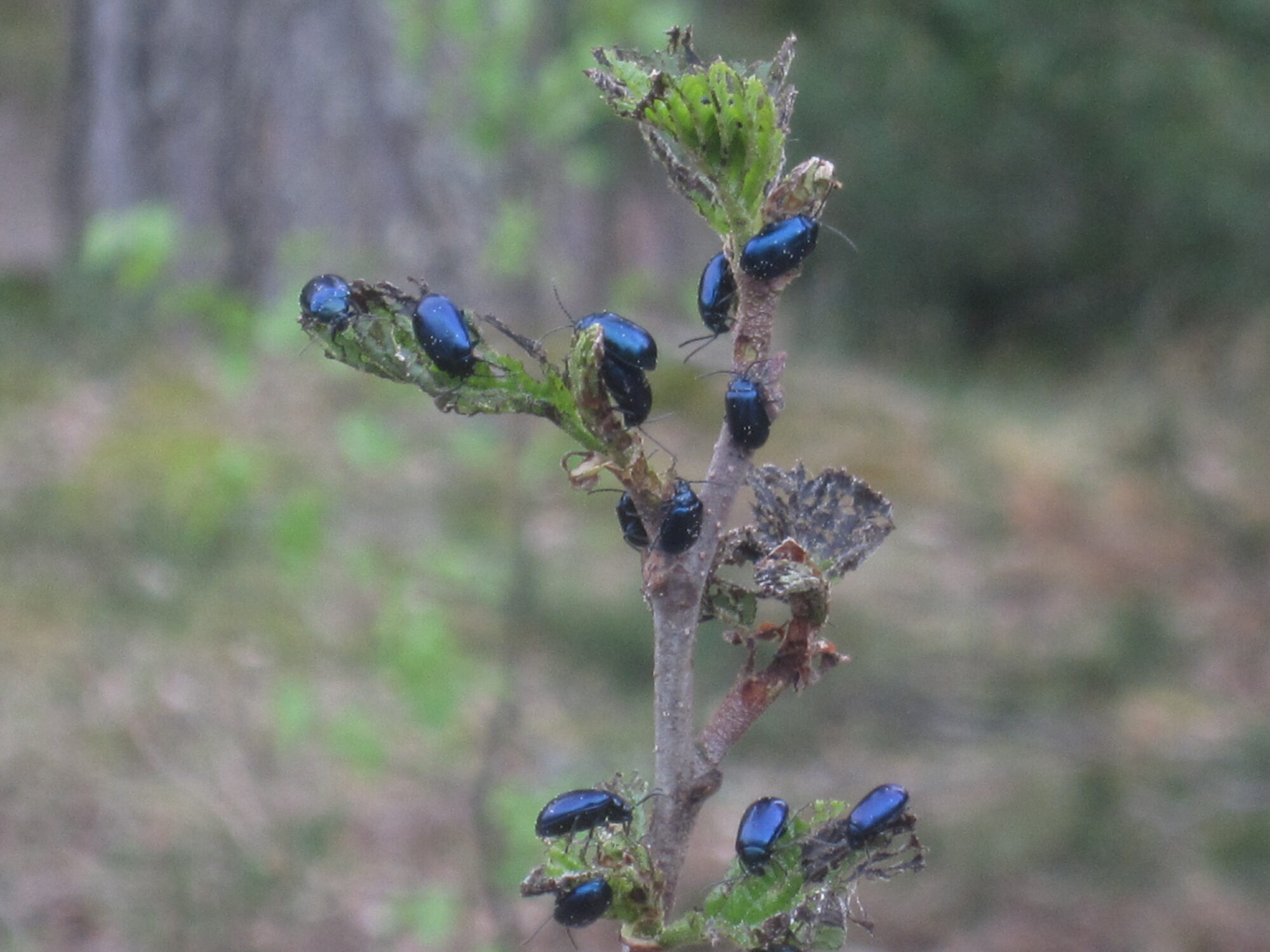 Valokuvaaja: Marita Portin Valokuvaaja: Marita Portin