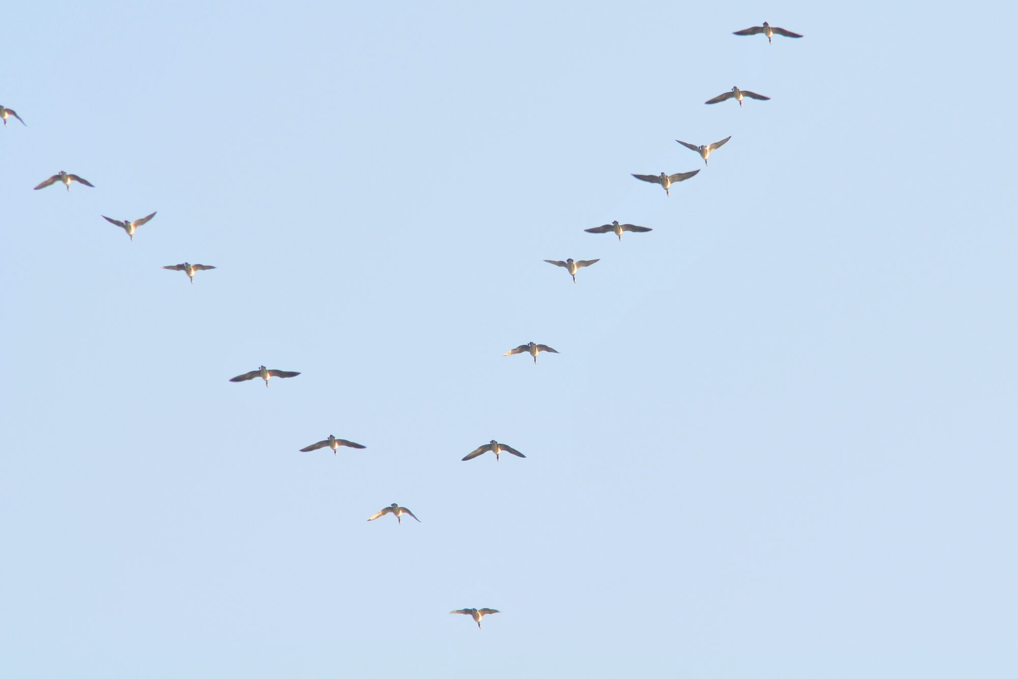 Valokuvaaja: Kaarlo Asikainen