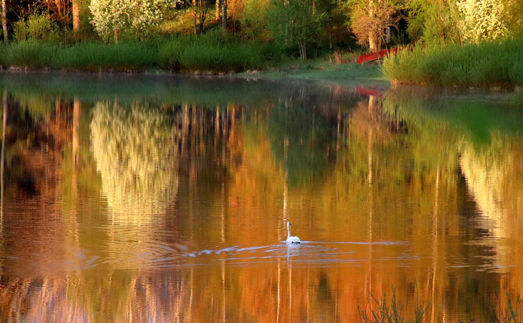 Valokuvaaja: sirpa jyske