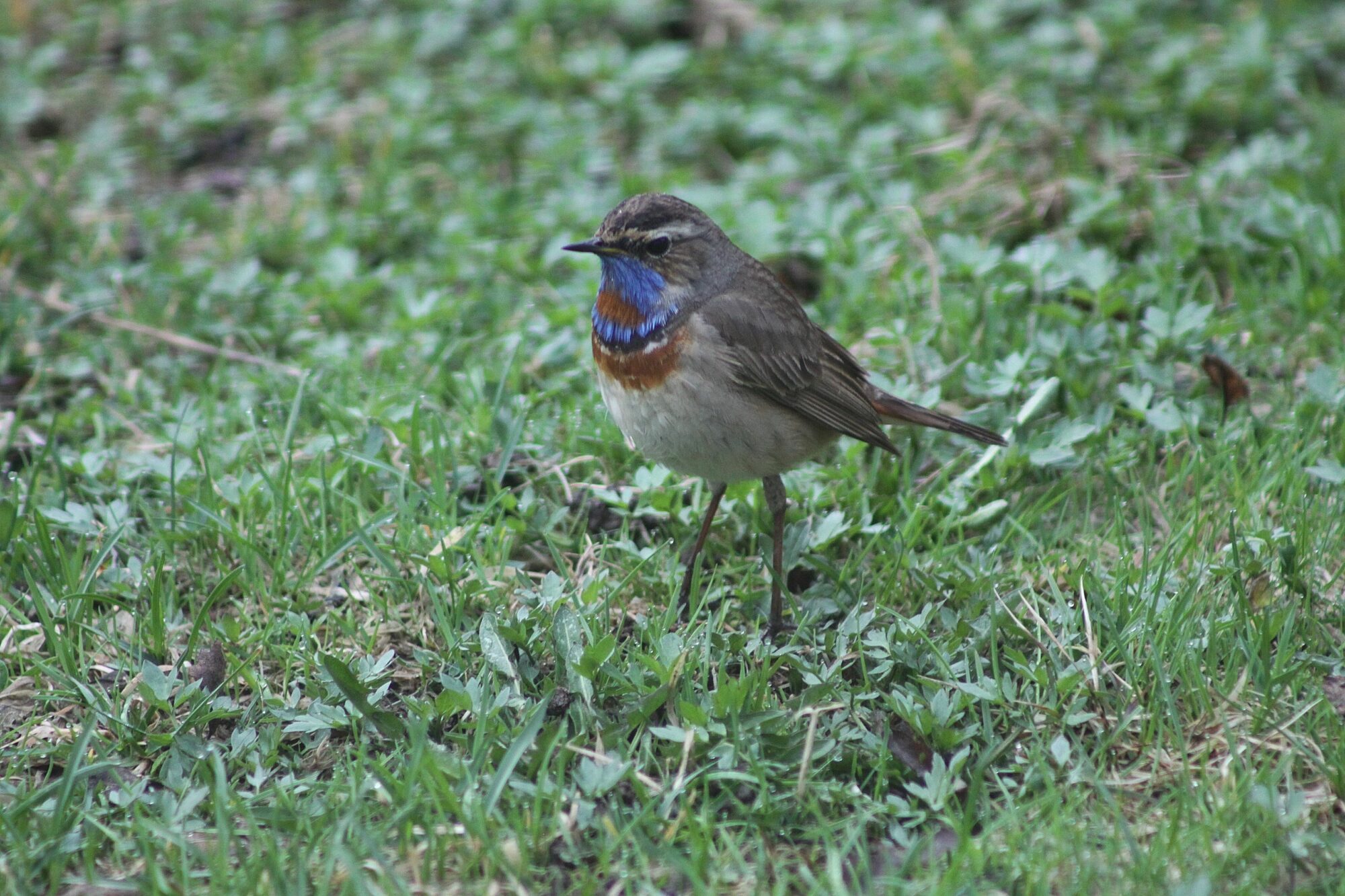 Valokuvaaja: Pirkko Siukonen