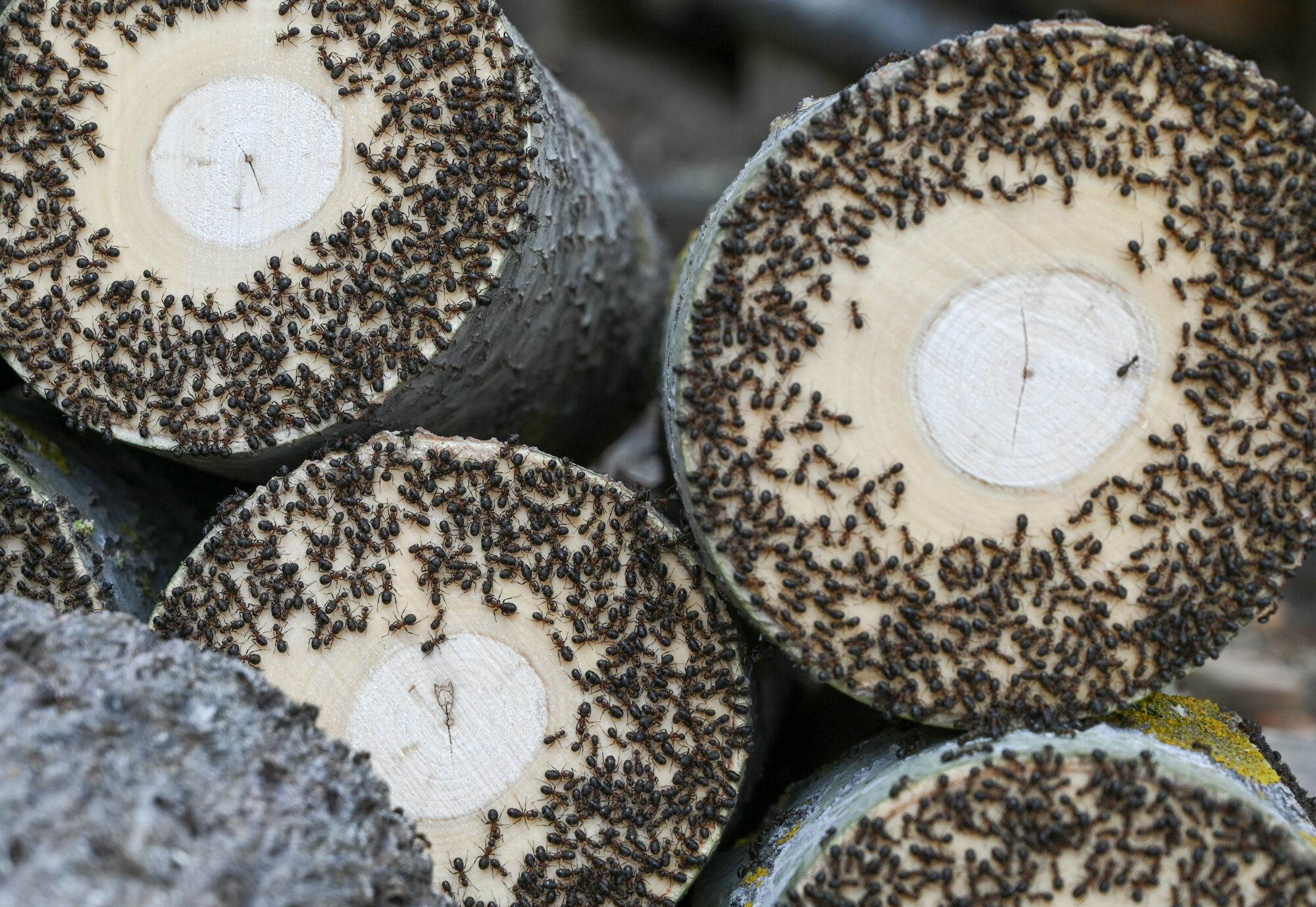 Valokuvaaja: Matti Manninen