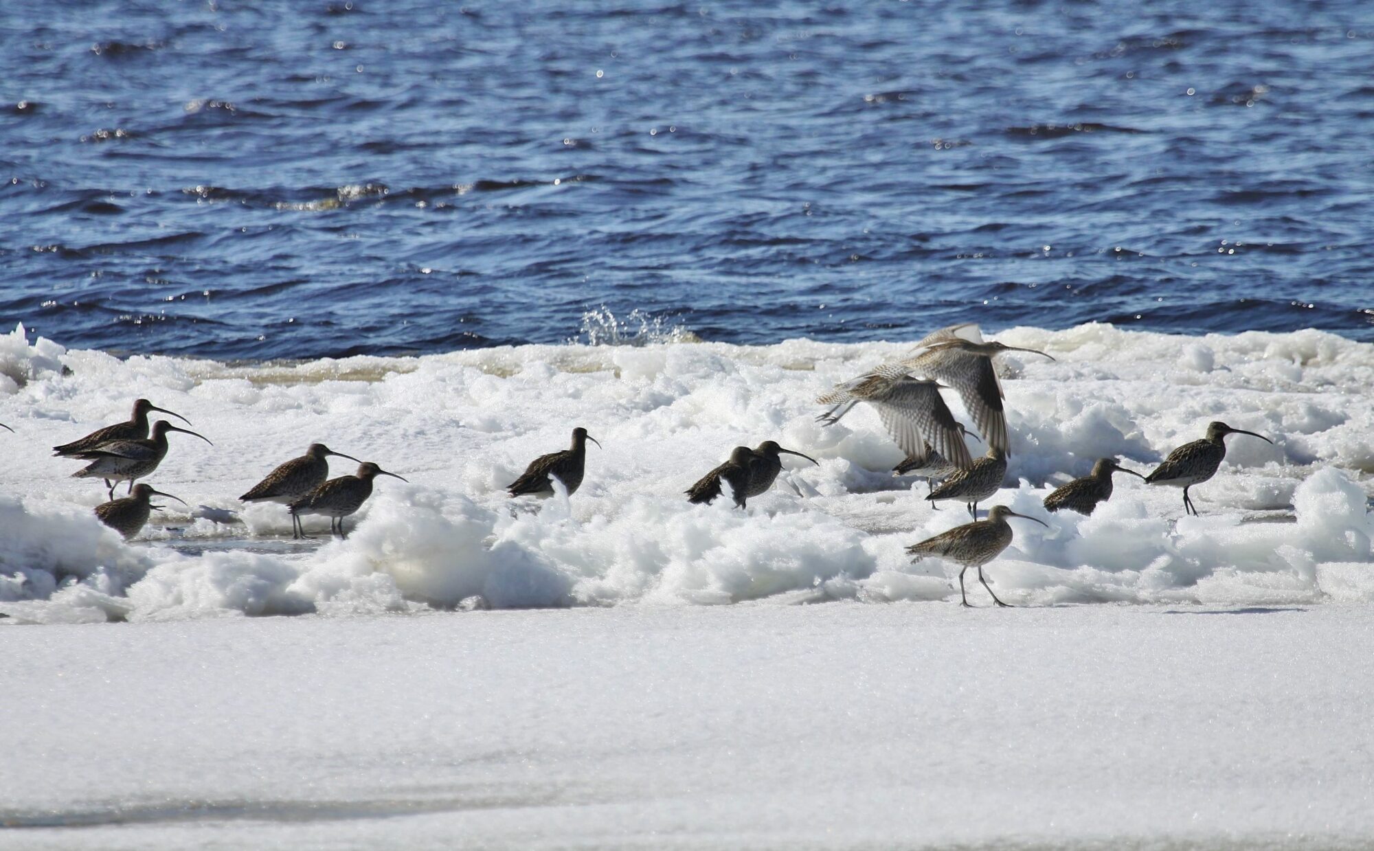 Valokuvaaja: Pirkko Siukonen Valokuvaaja: Pirkko Siukonen