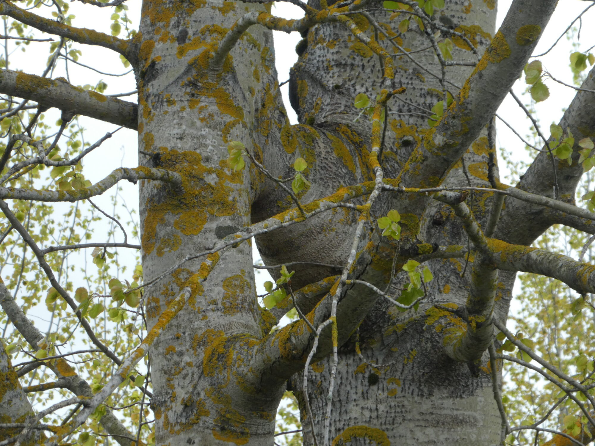 Valokuvaaja: Anja Mustamaa