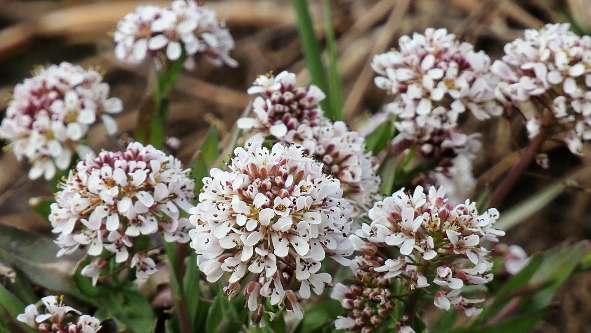Valokuvaaja: Arja Valtonen