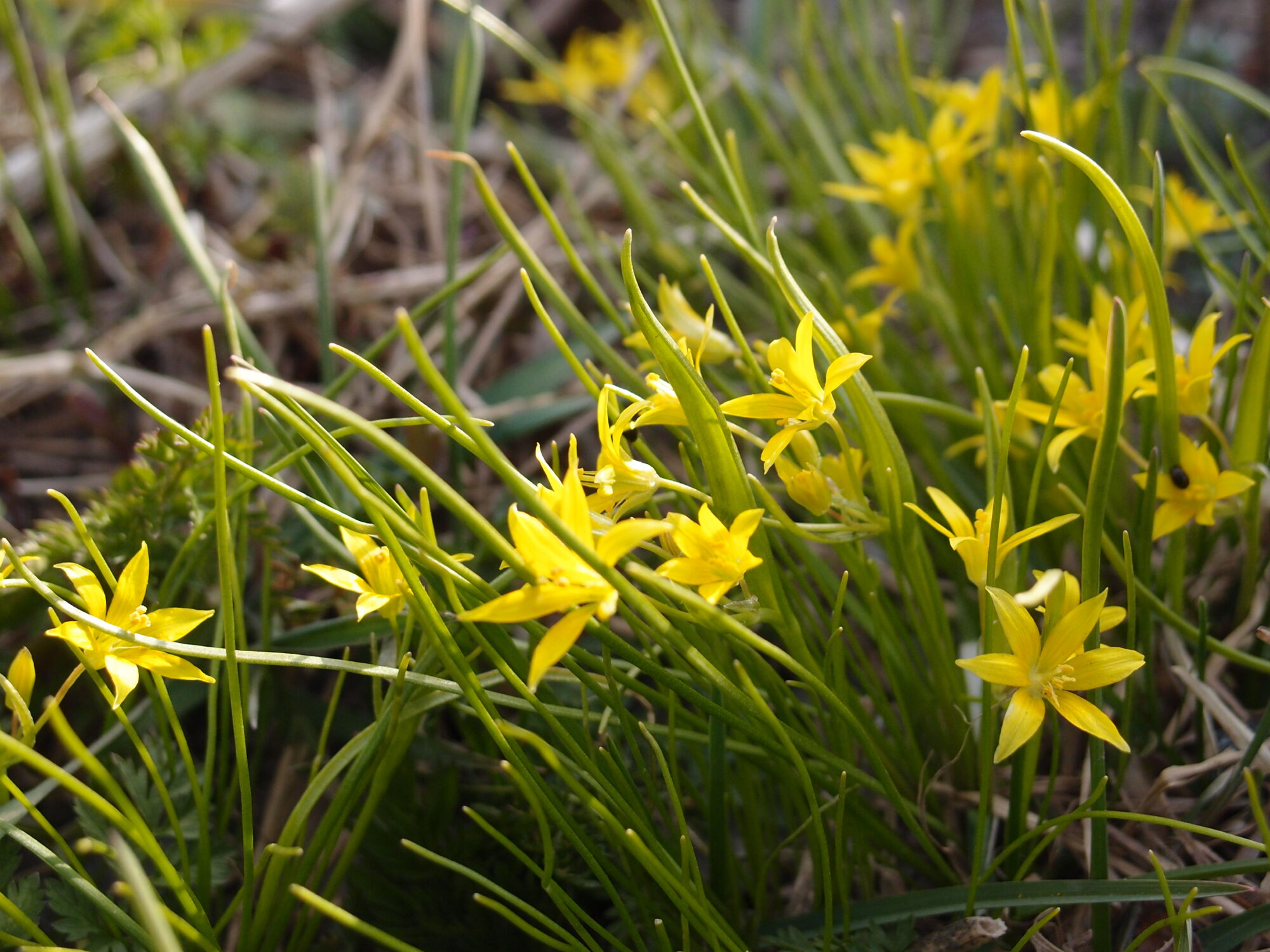 Valokuvaaja: Risto Kangassalo