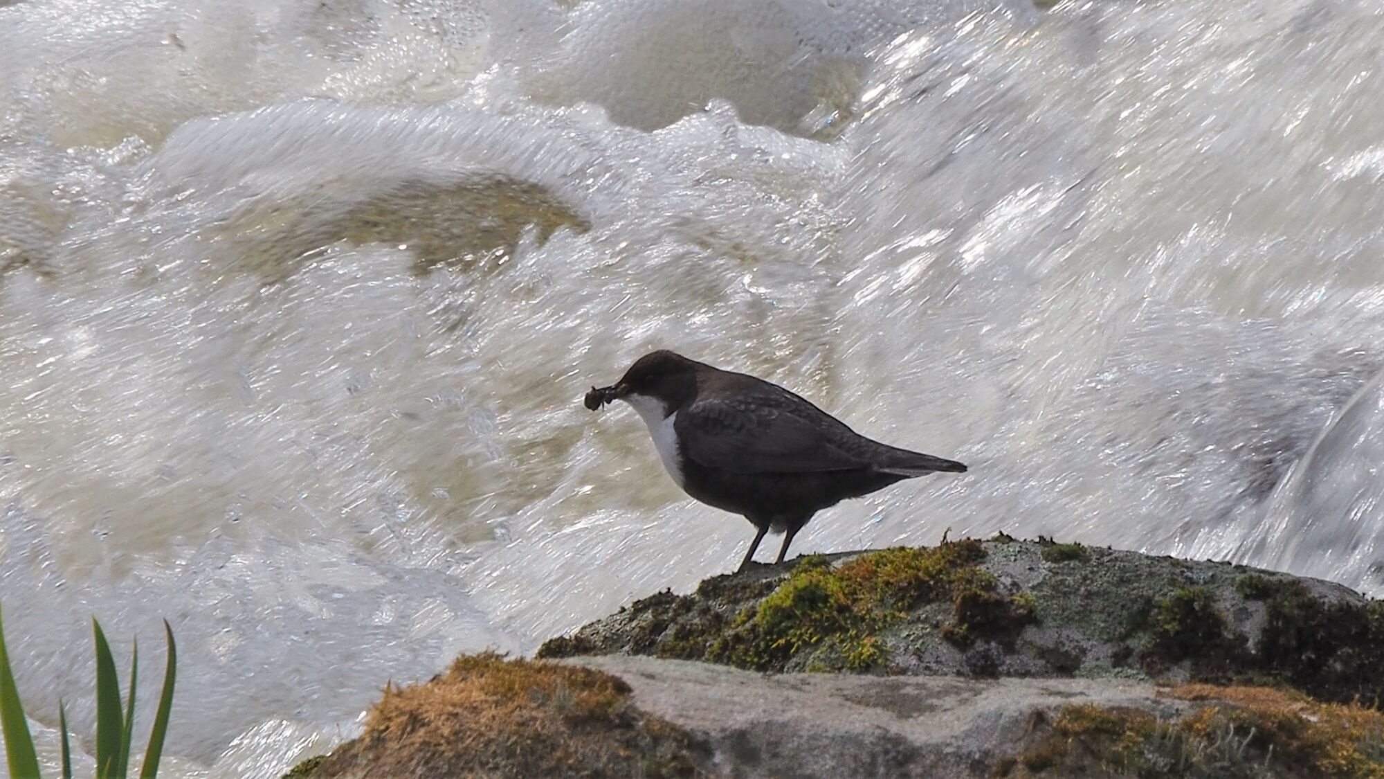 Valokuvaaja: Martti Valtonen