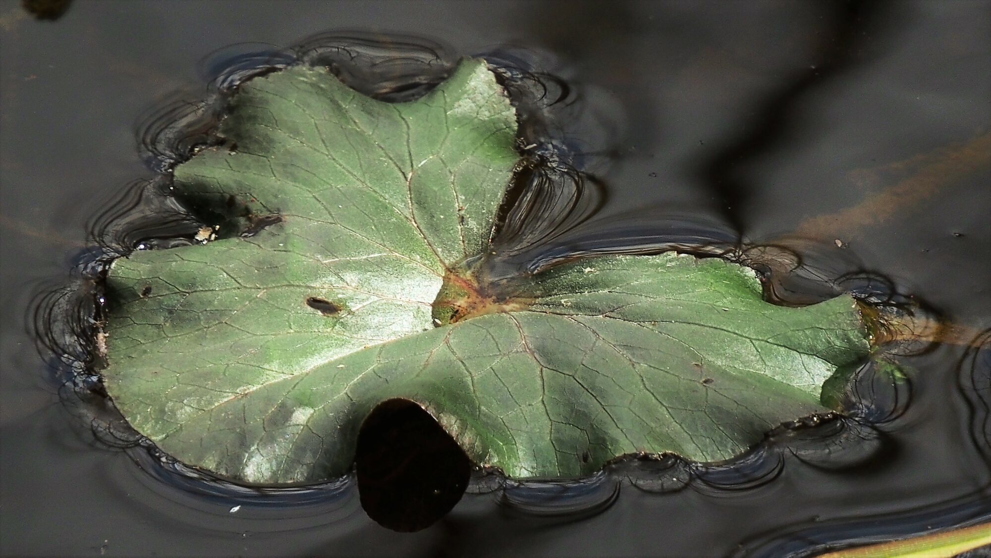 Valokuvaaja: Arja Valtonen