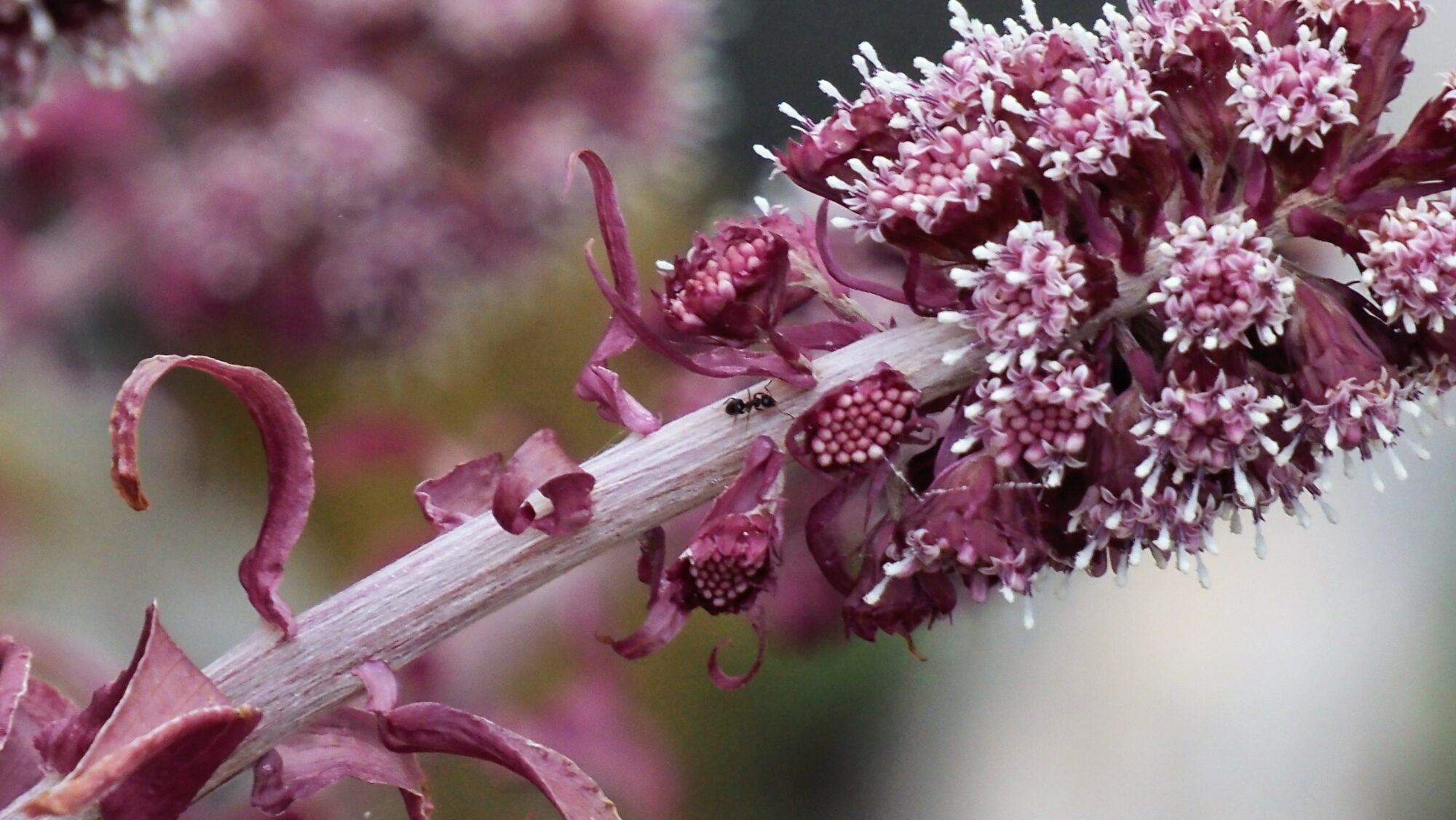 Valokuvaaja: Arja Valtonen