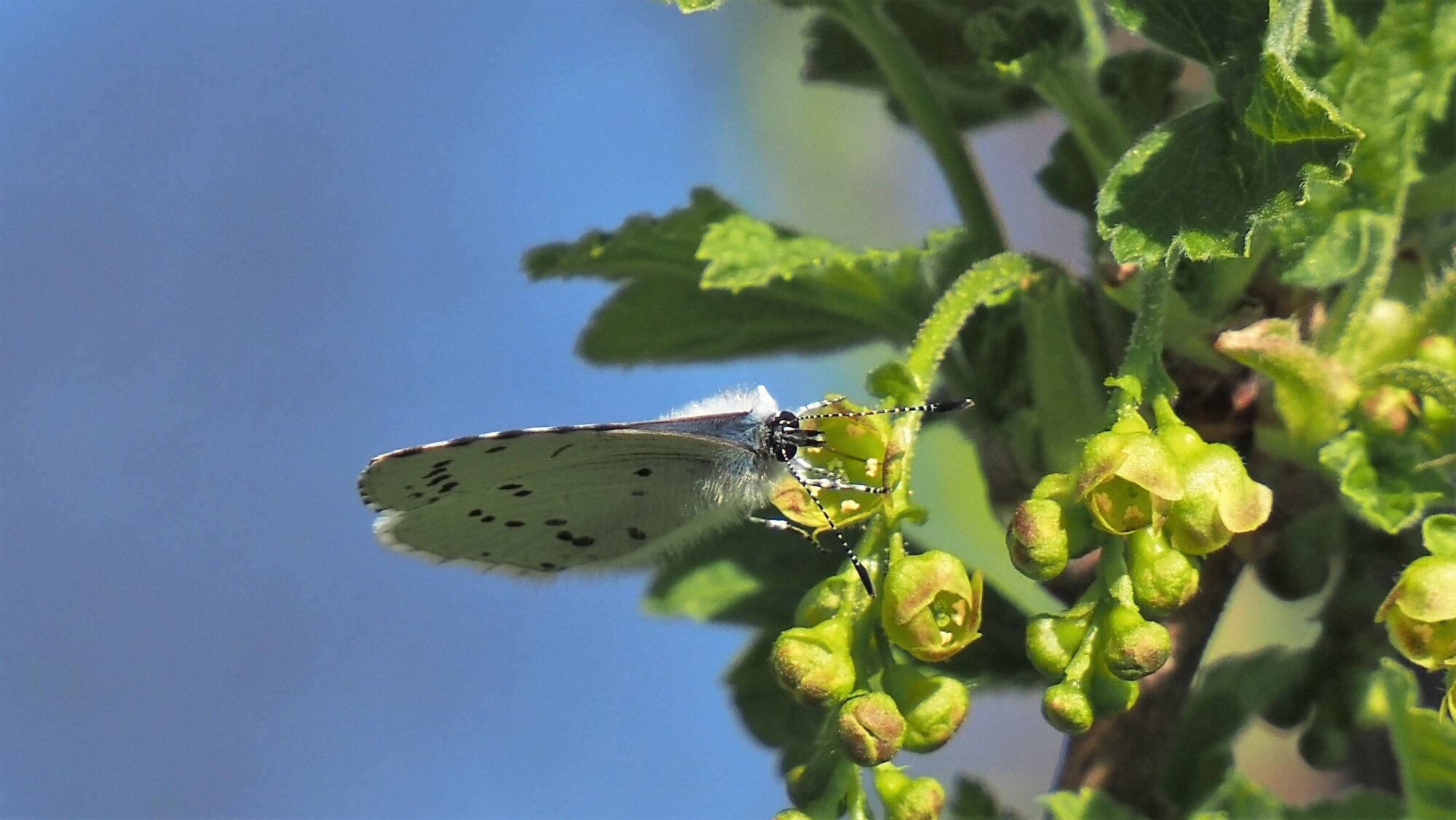 Valokuvaaja: Arja Valtonen
