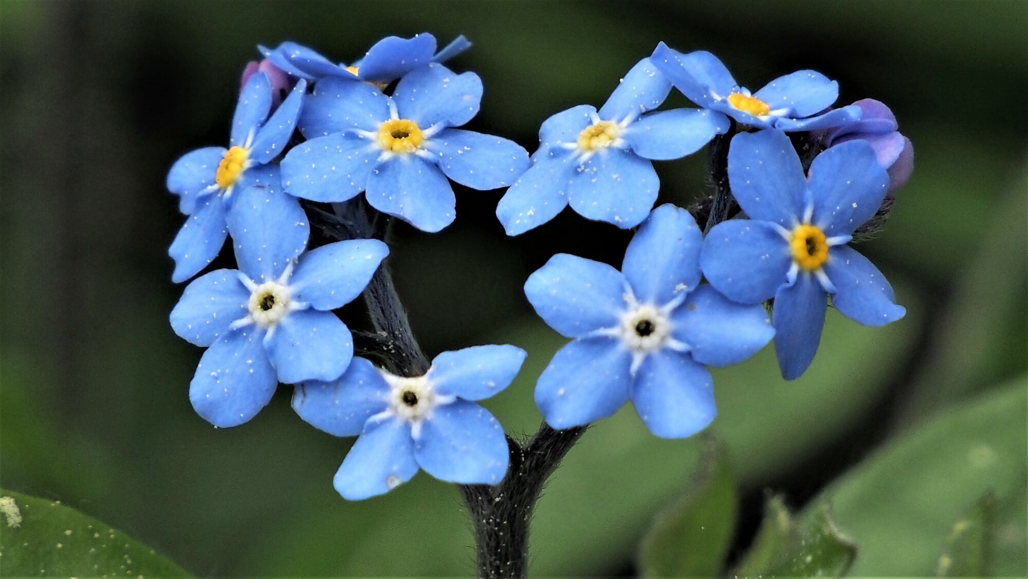 Valokuvaaja: Arja Valtonen