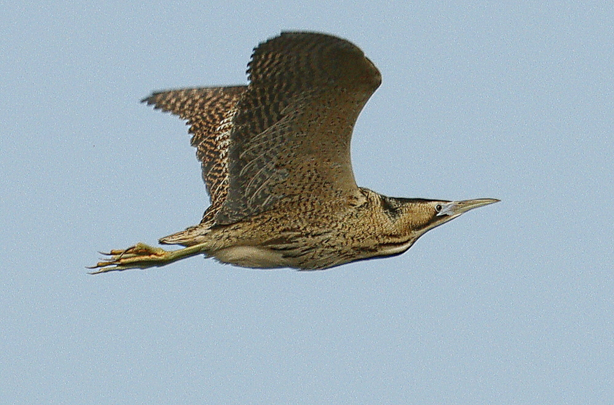 Valokuvaaja: Ritva Nieminen