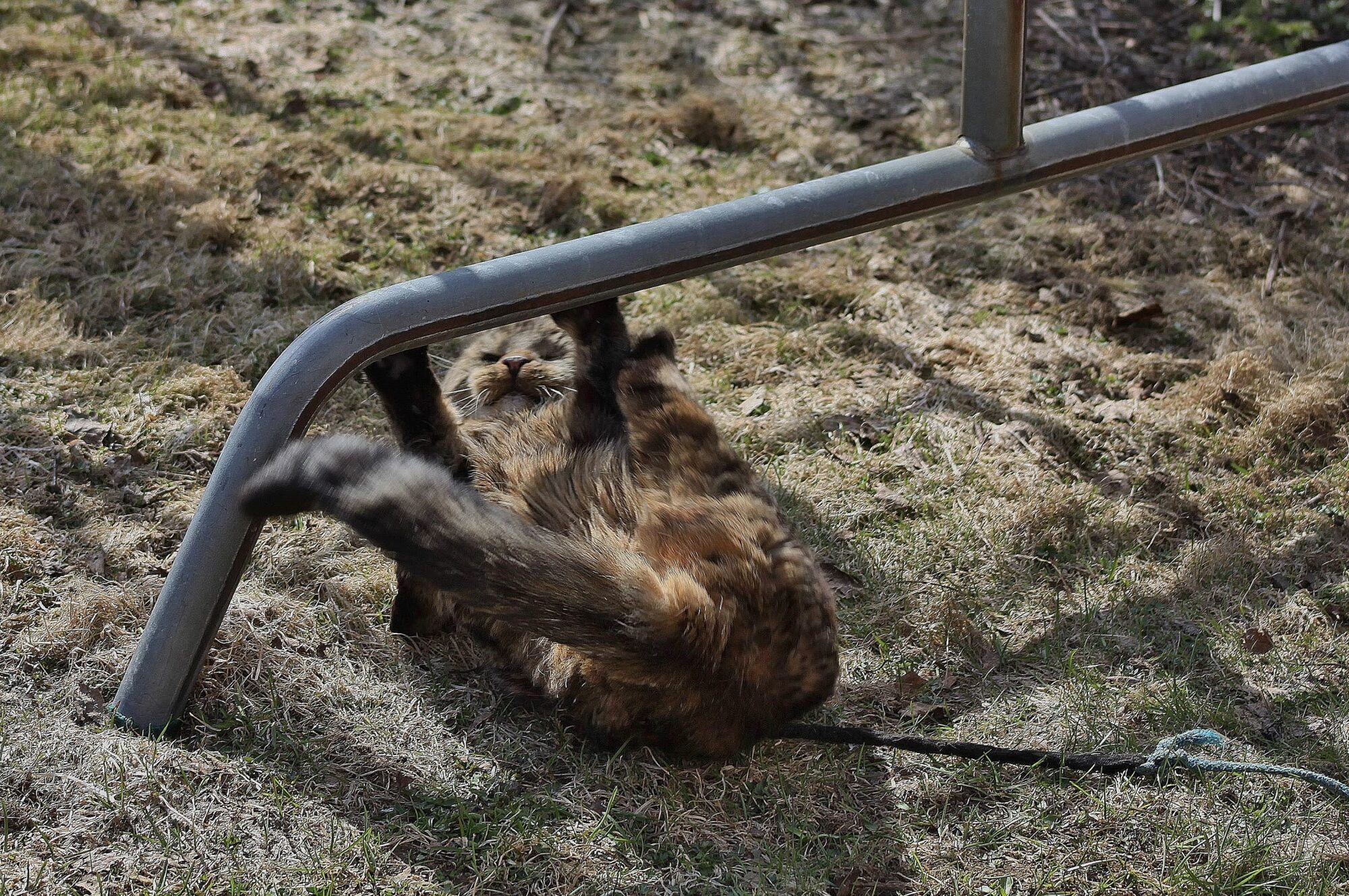 Valokuvaaja: Pirkko Siukonen