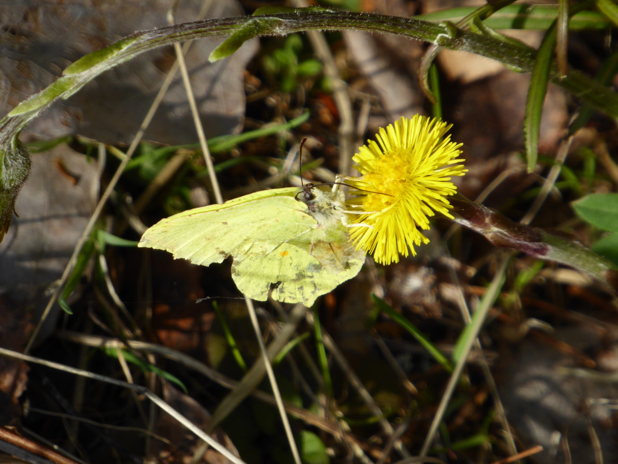 Valokuvaaja: Toni Asikainen