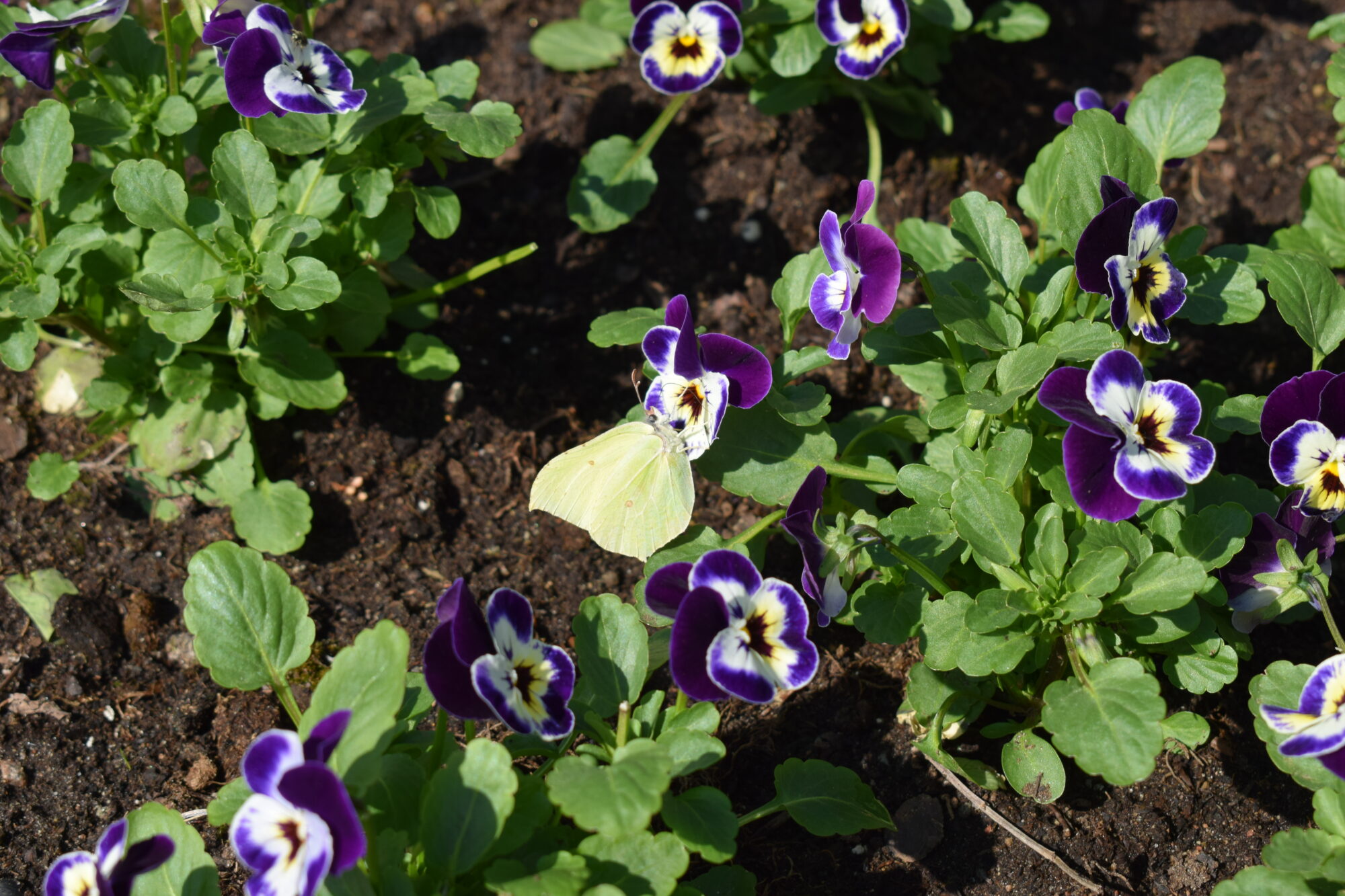 Valokuvaaja: Eila Ylönen