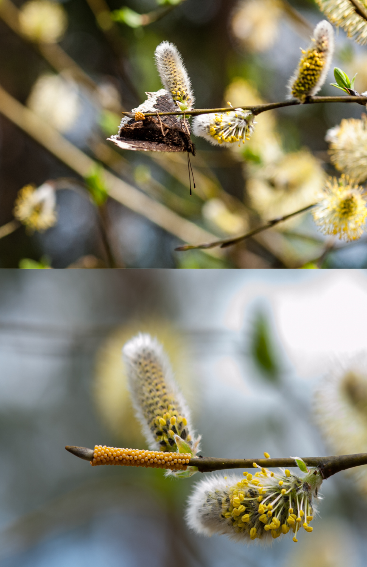 Valokuvaaja: Juha Nurmi