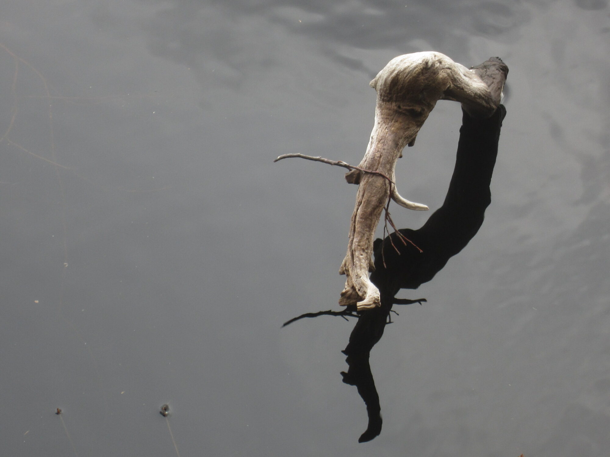 Valokuvaaja: Marita Portin