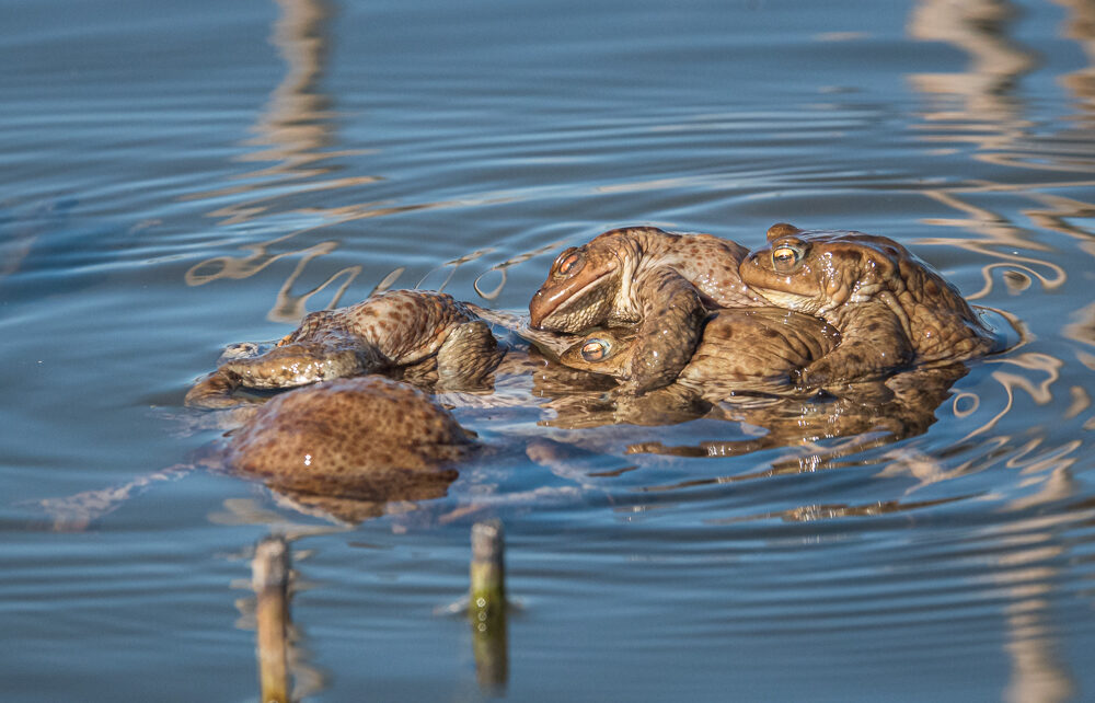 Valokuvaaja: Ari Kaarakainen