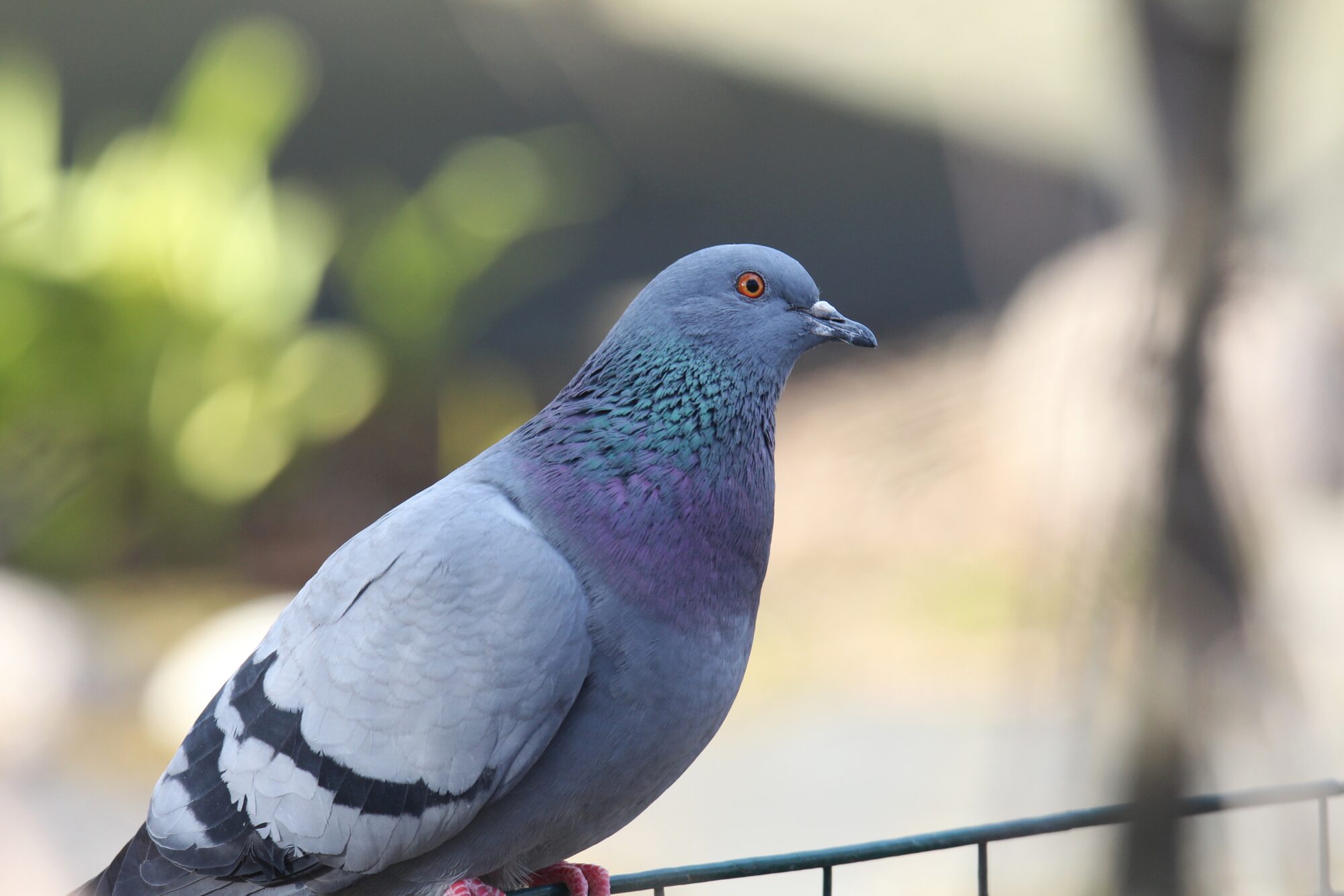 Valokuvaaja: Jaana Saarelainen